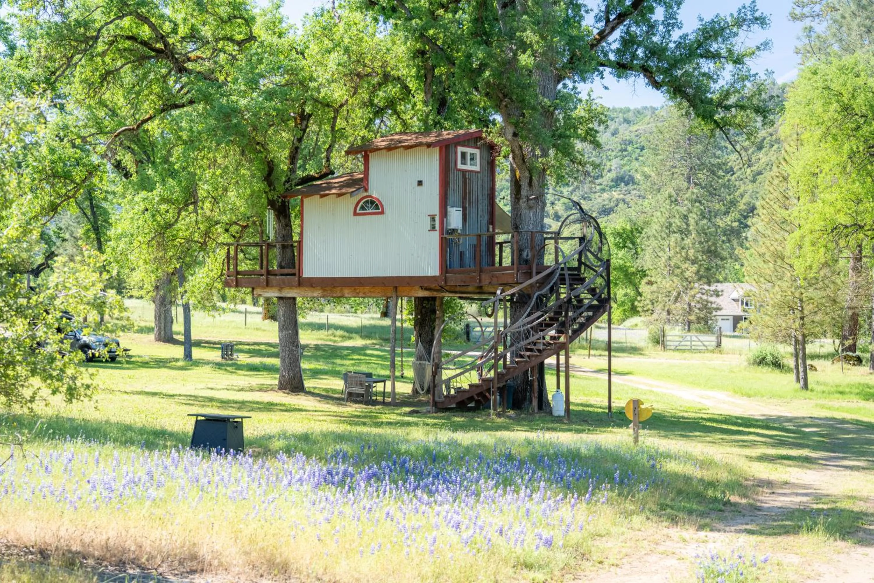 Property building in Hawk's Rest