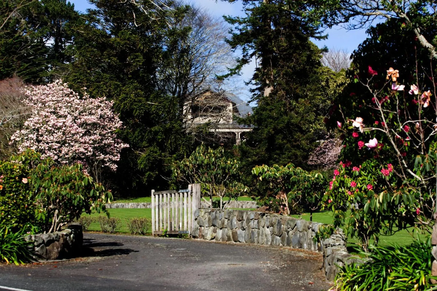 Spring in Ratanui Villas