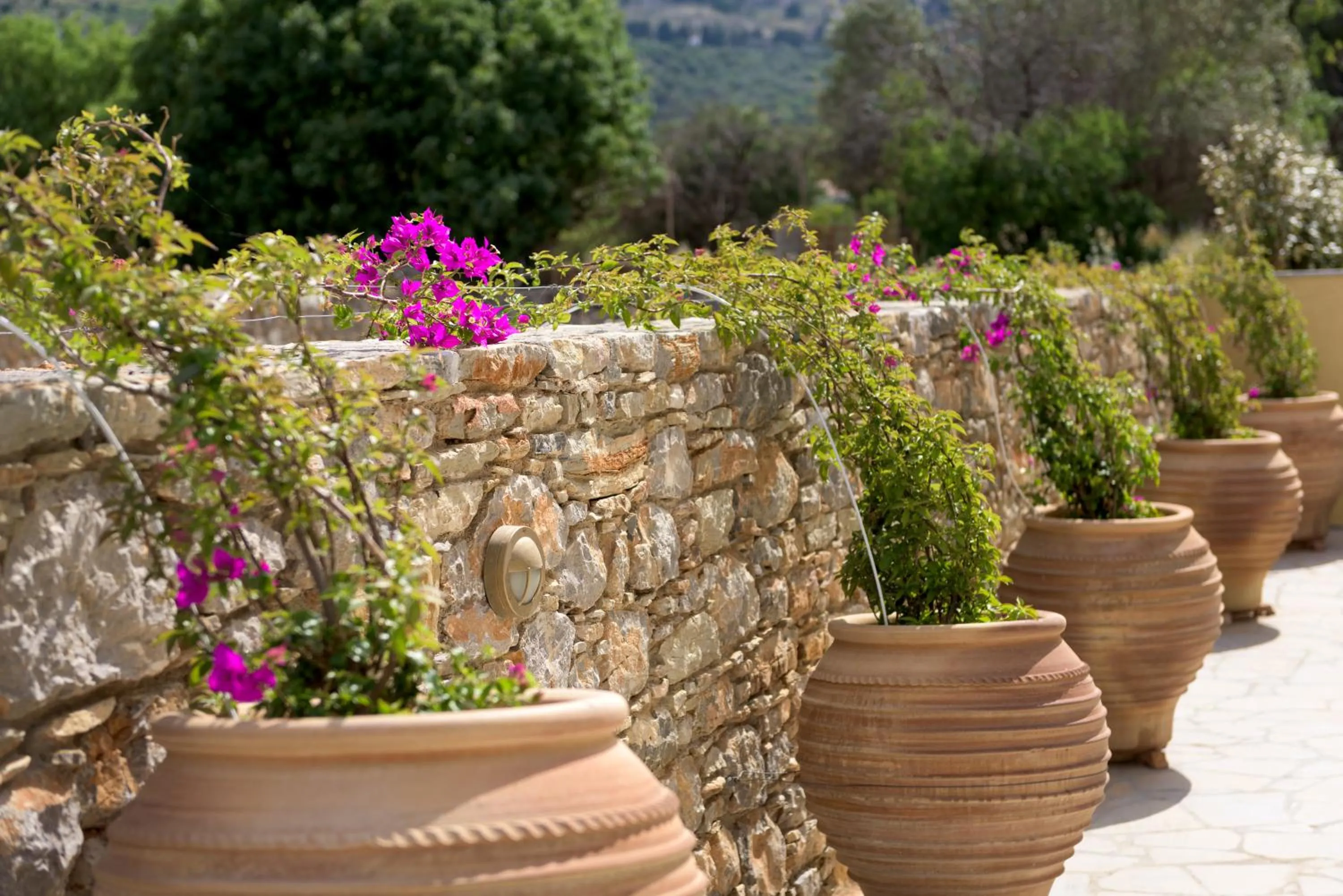 Patio in Asymi Residences