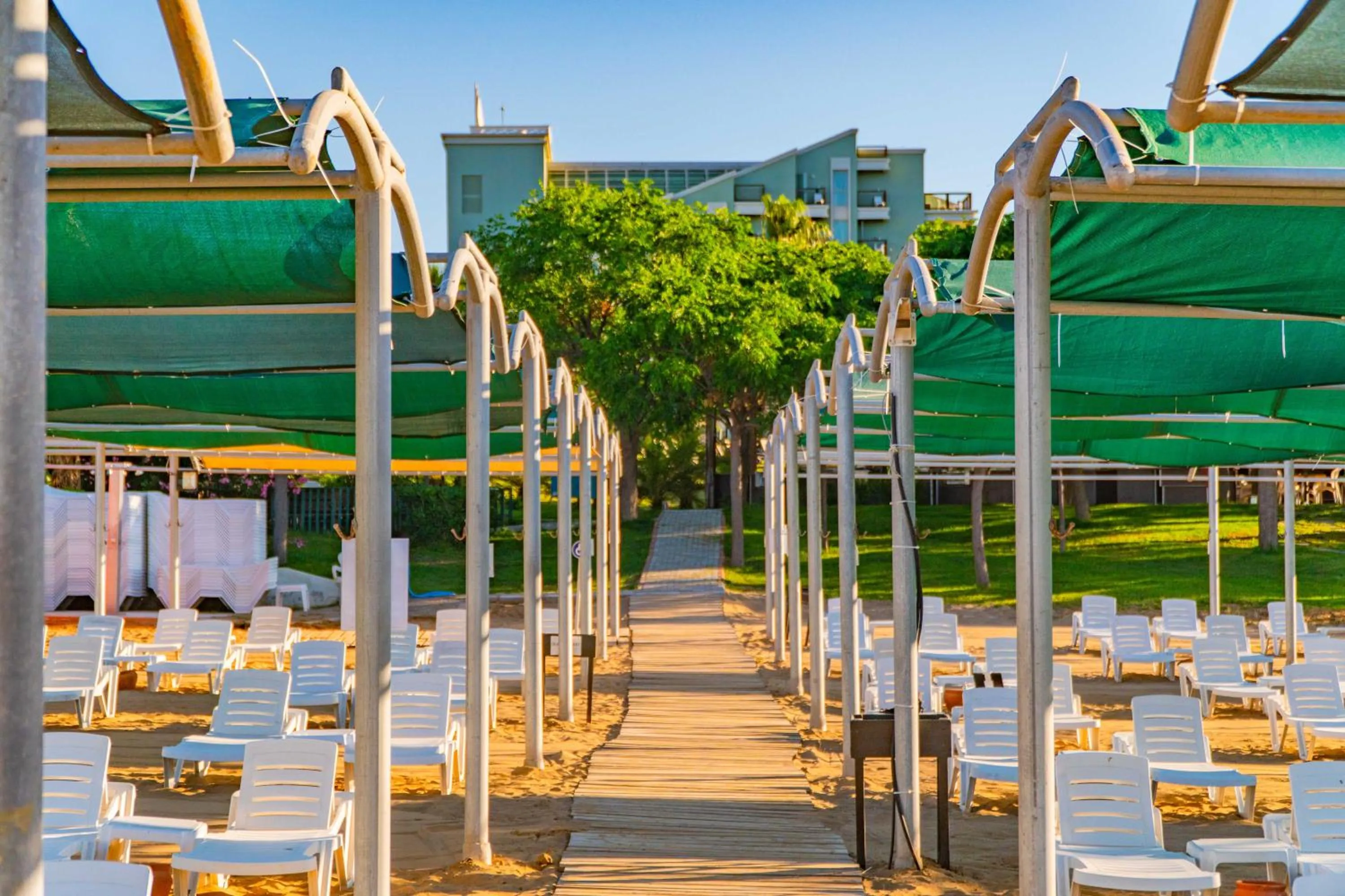 Beach in Royal Atlantis Spa & Resort