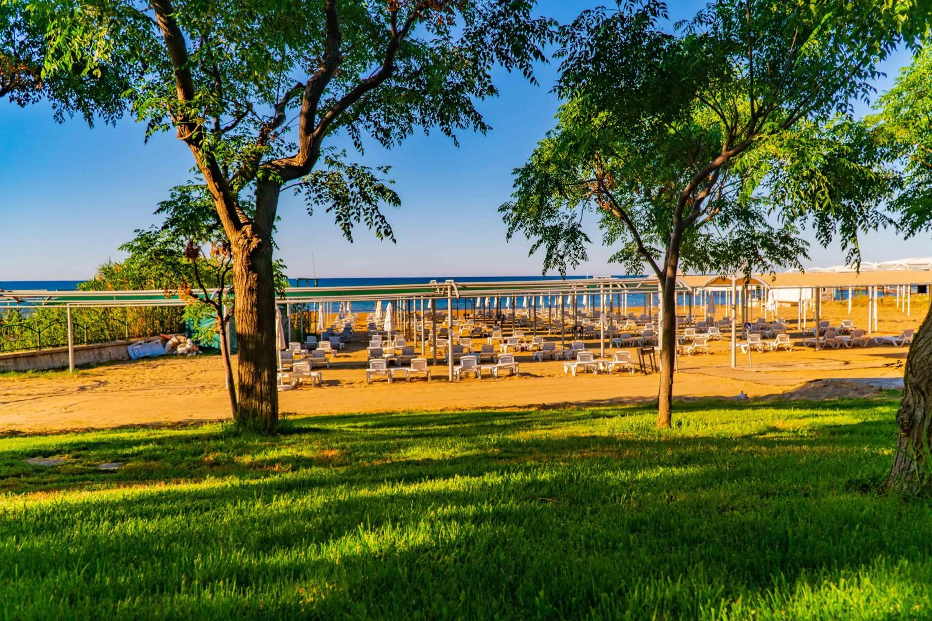 Garden in Royal Atlantis Spa & Resort