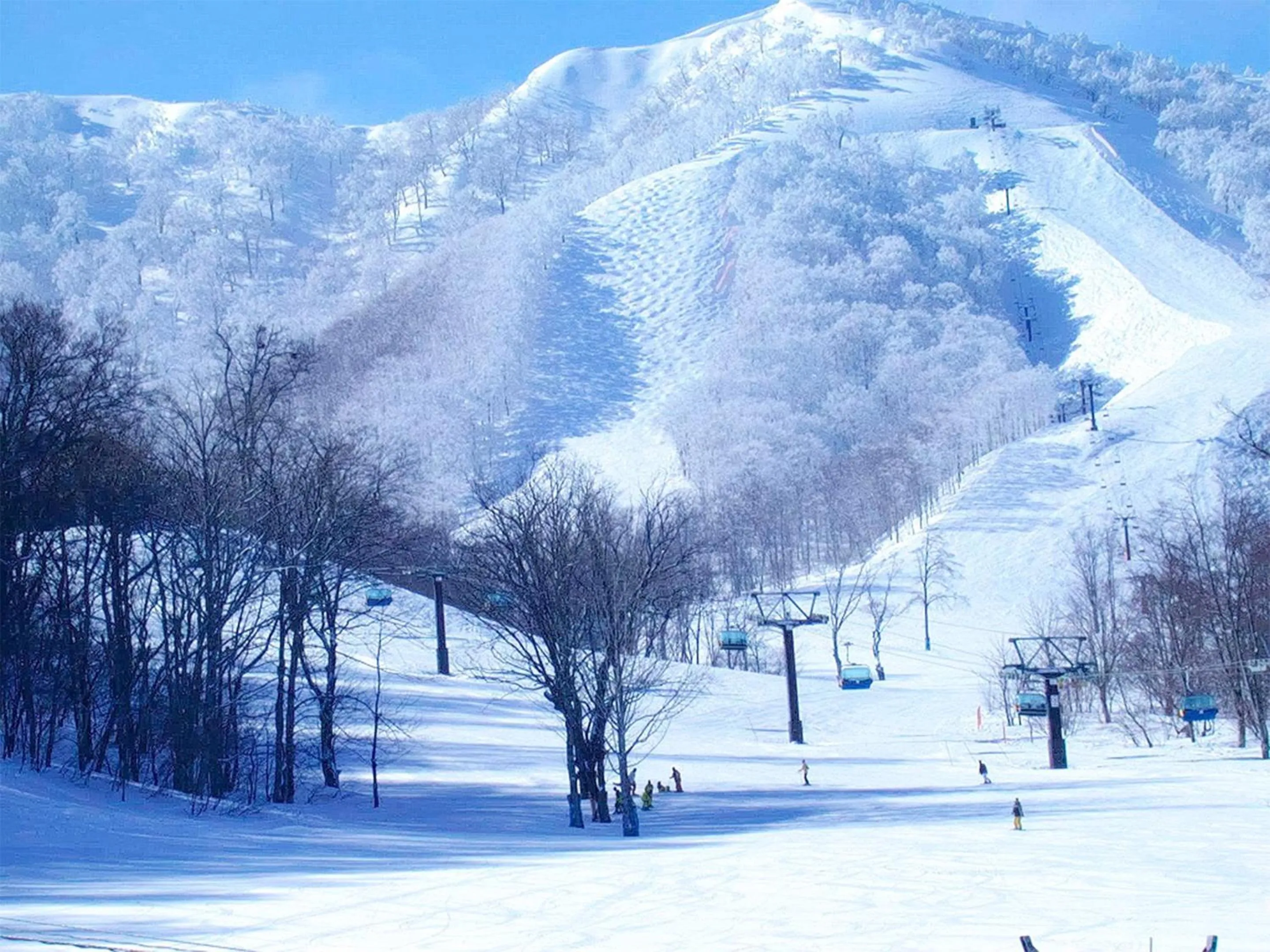 Activities in Pension Buddy