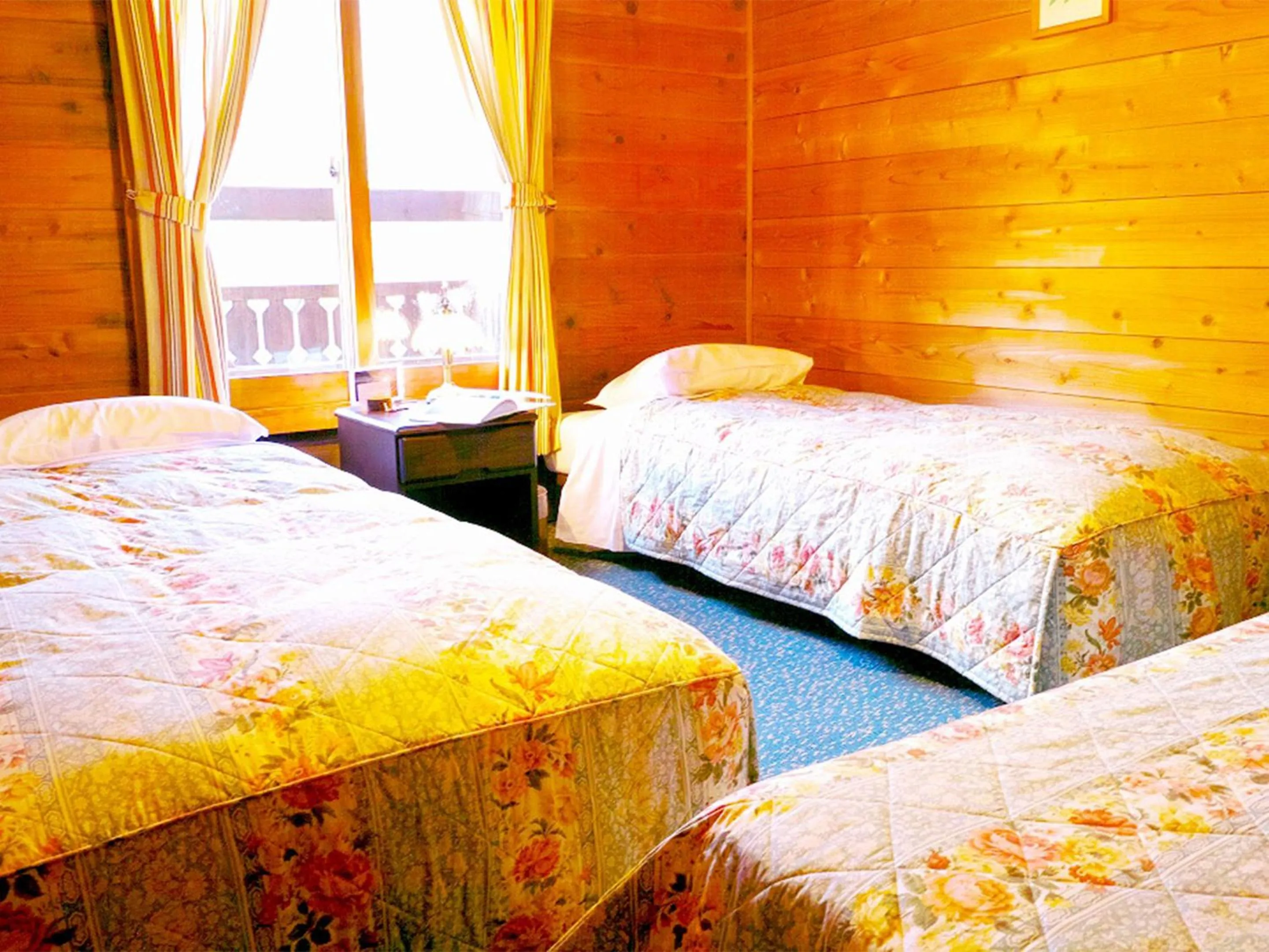 Photo of the whole room, Bed in Pension Buddy
