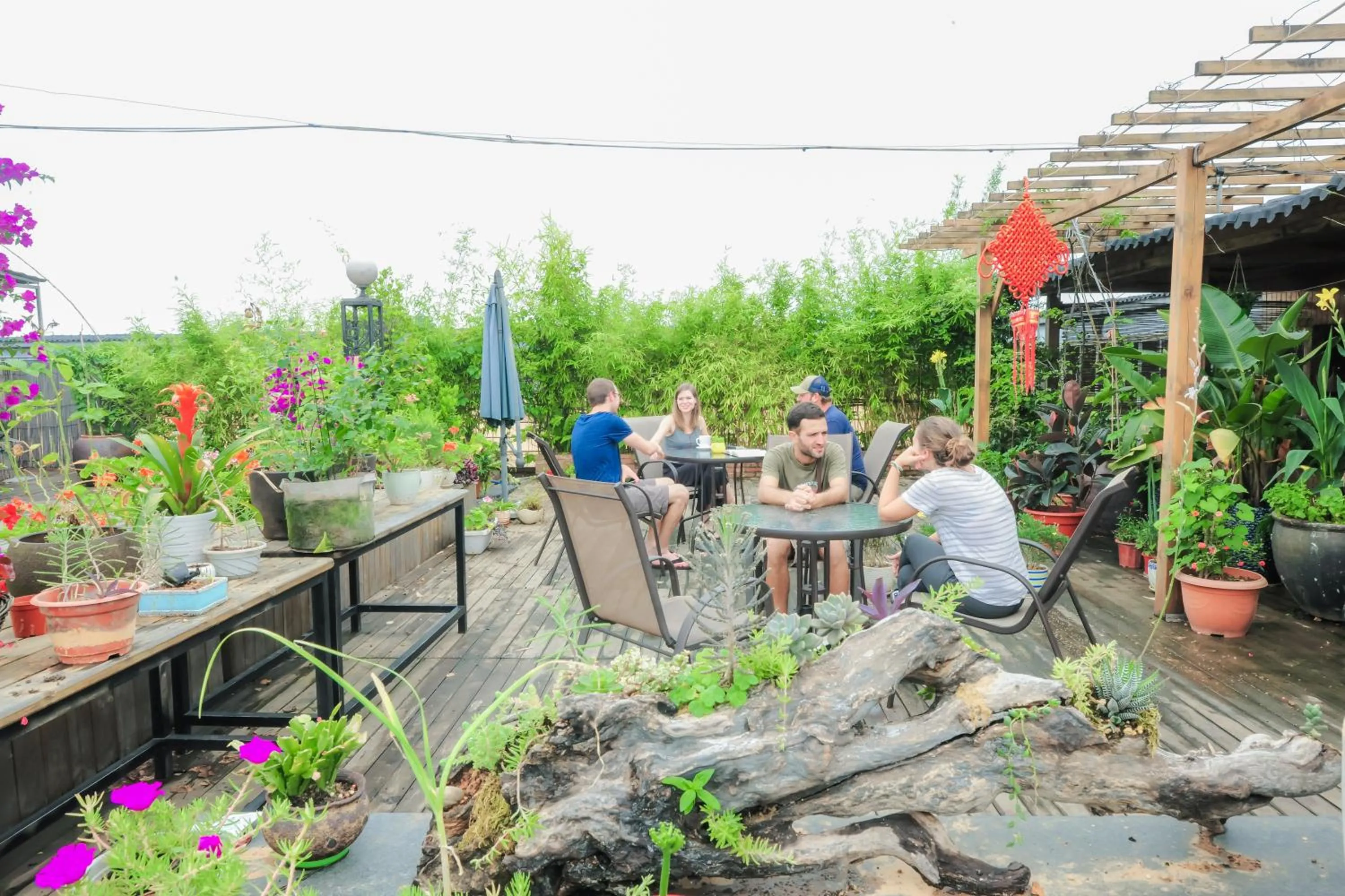 View (from property/room) in Sky Garden Inn