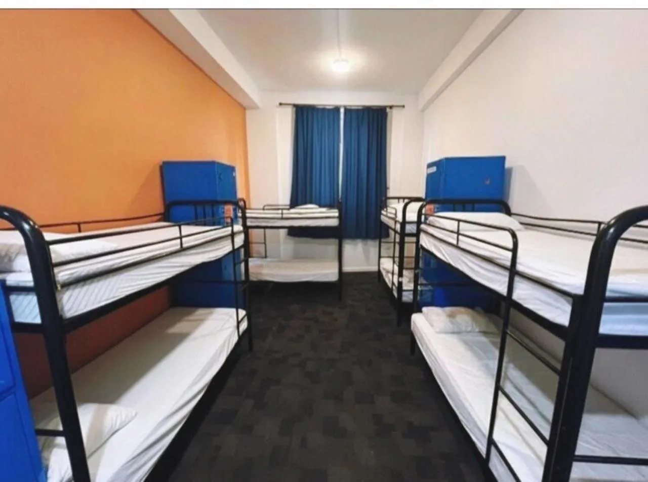 Bed in Big Backpackers Hostel