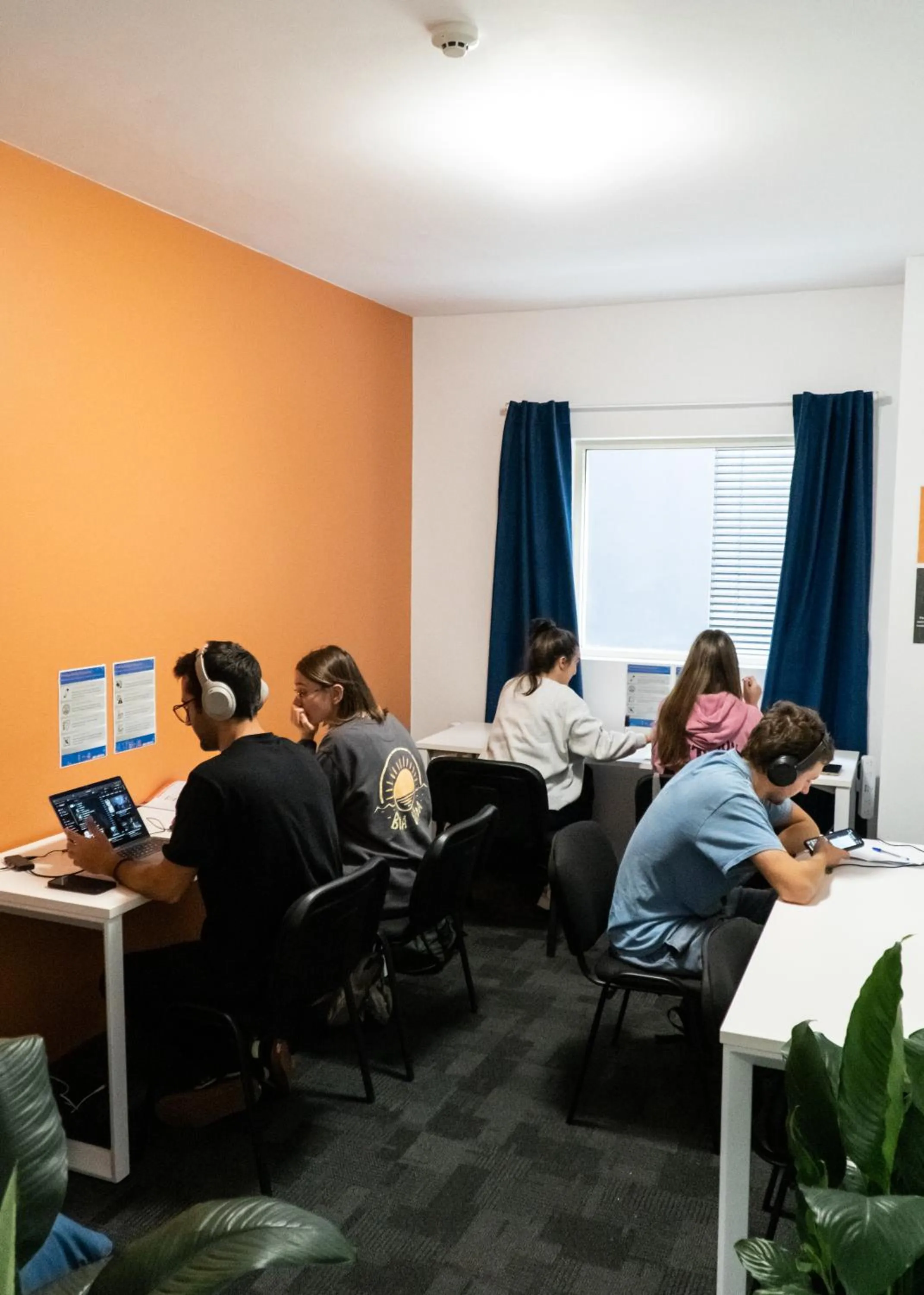 Property building in Big Backpackers Hostel