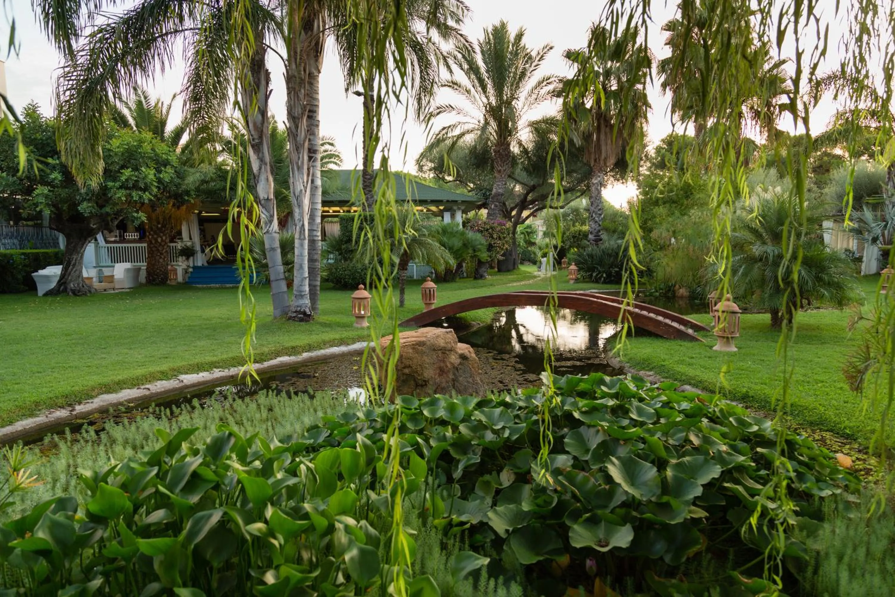 Garden in Hotel Mediterraneo