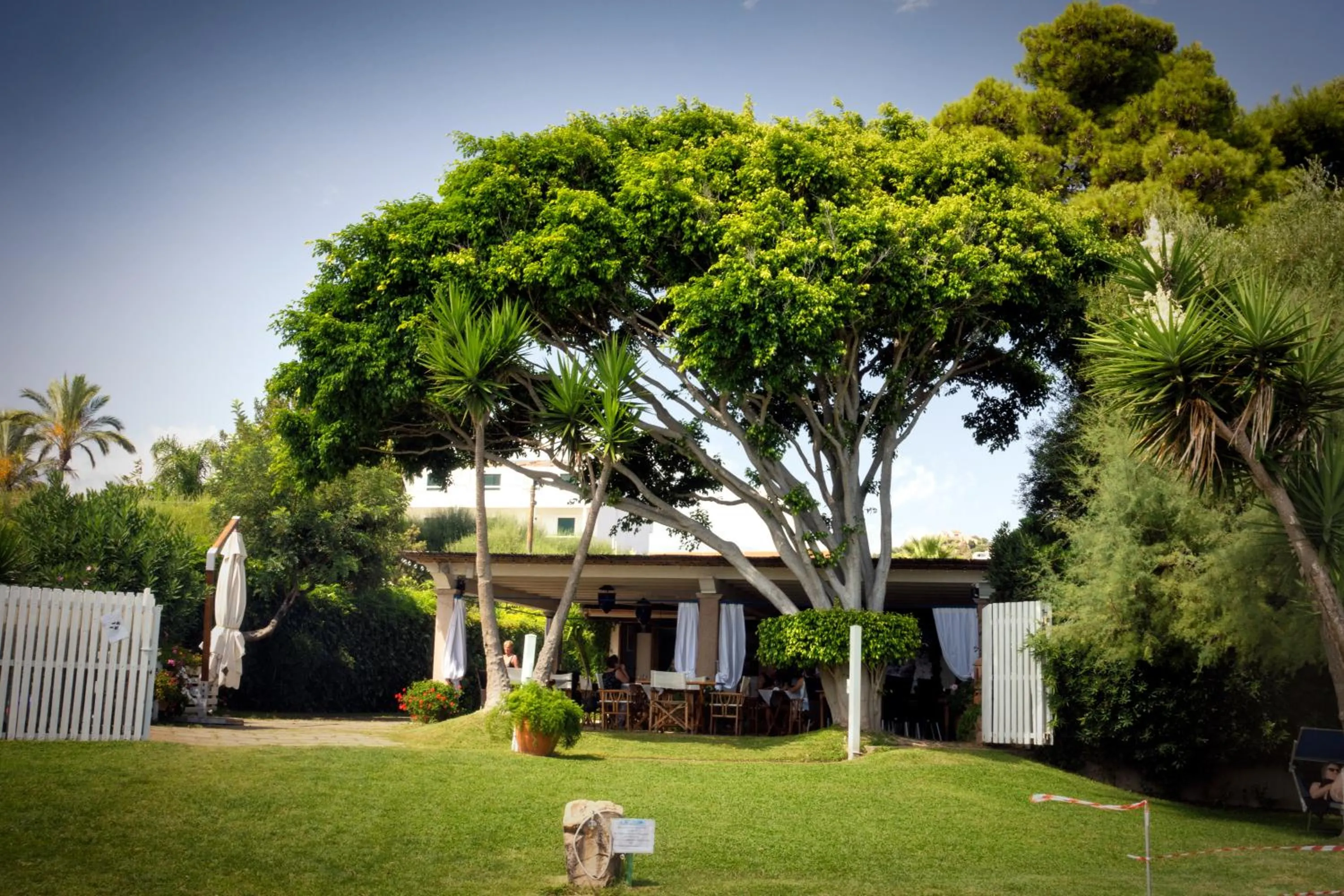 Restaurant/places to eat in Hotel Mediterraneo