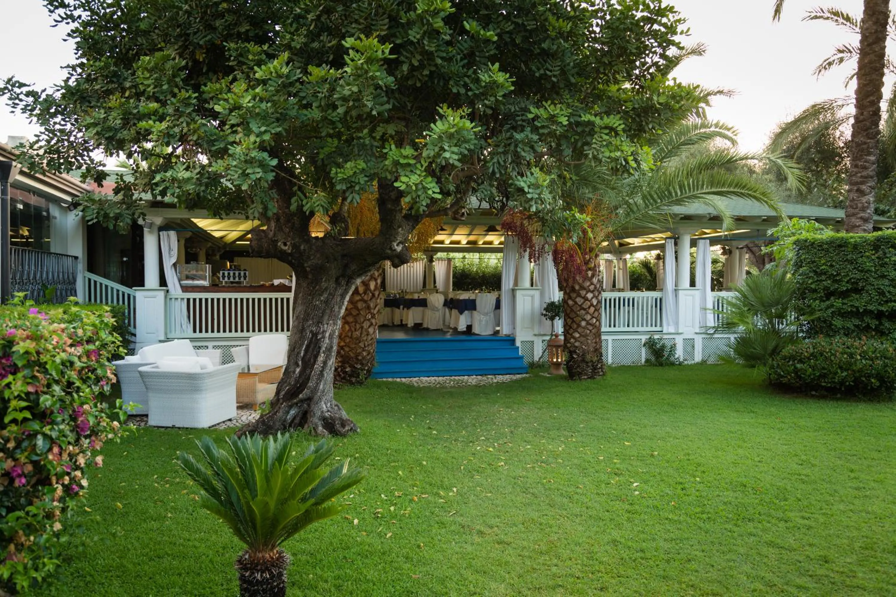 Restaurant/places to eat in Hotel Mediterraneo