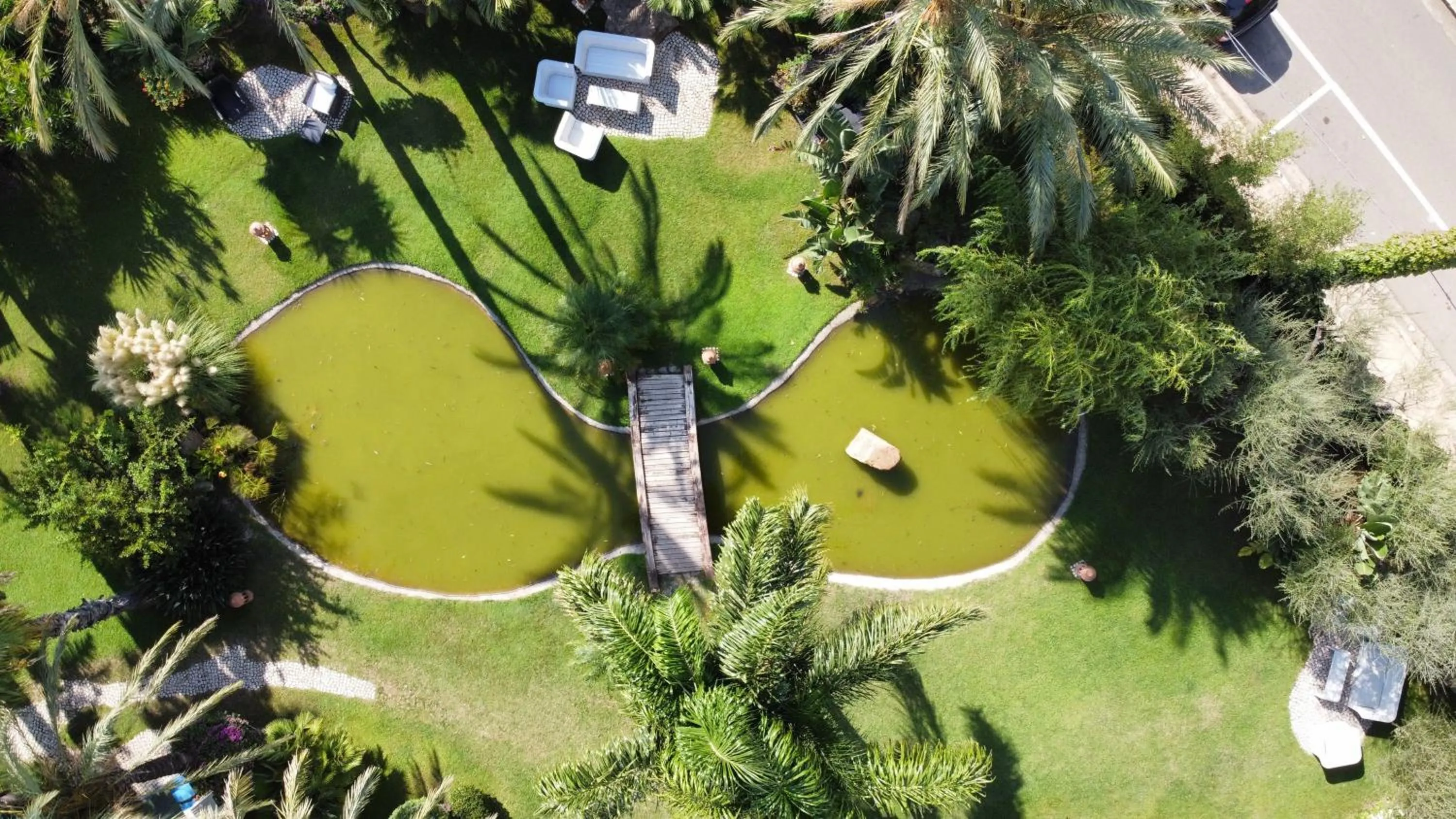 Garden in Hotel Mediterraneo