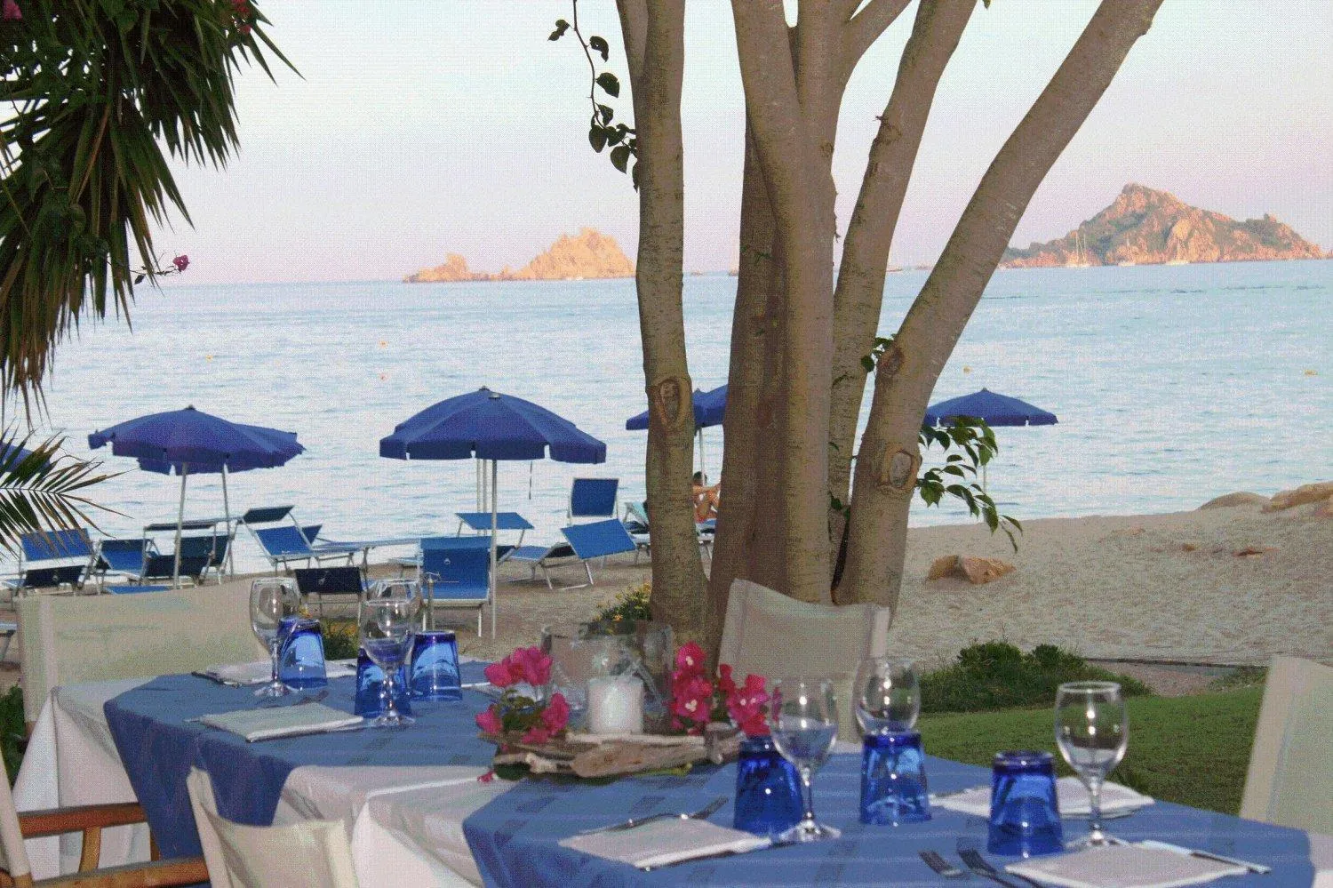 Restaurant/places to eat in Hotel Mediterraneo