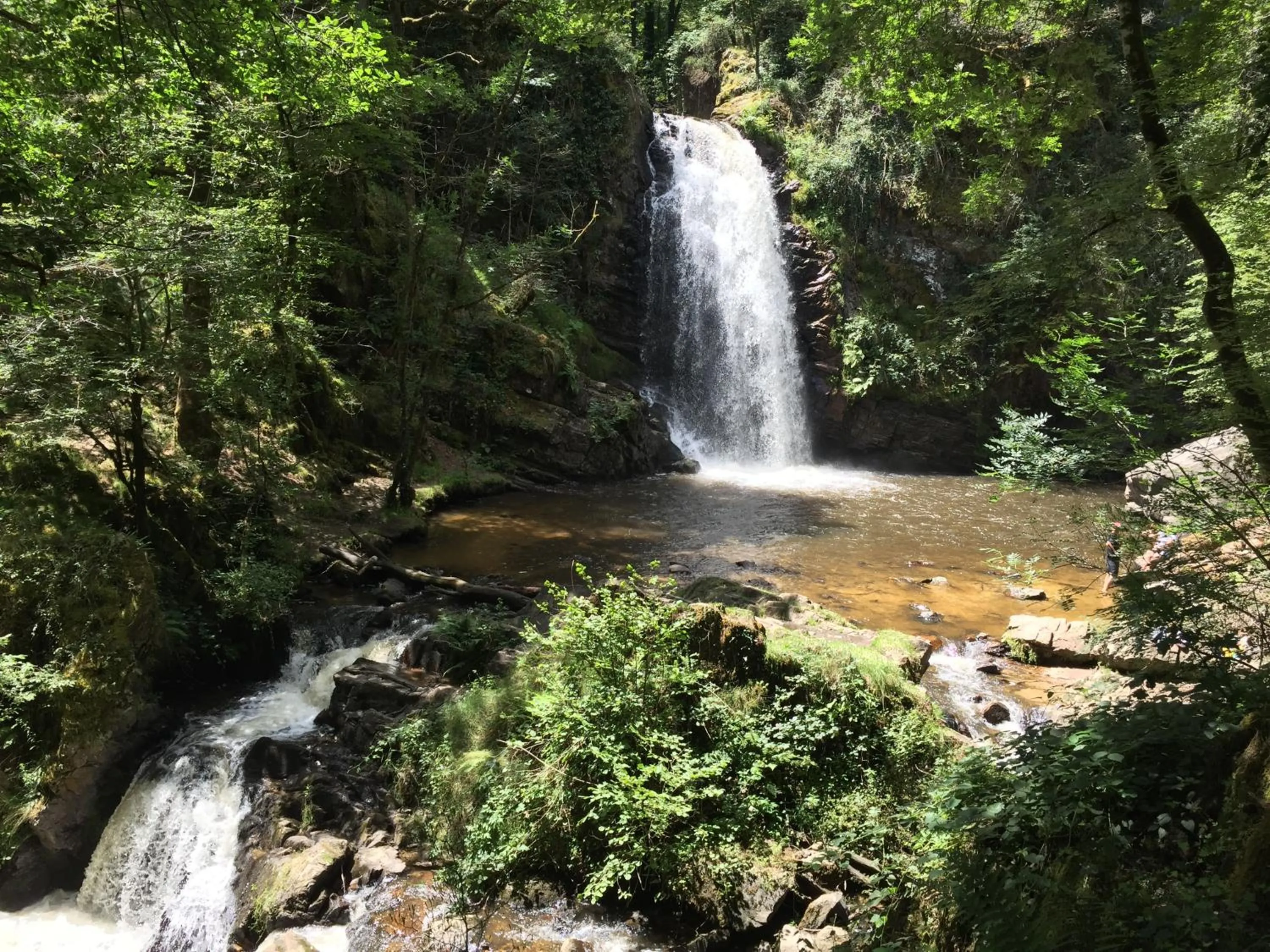 Natural landscape in B&B Chateau le Bois