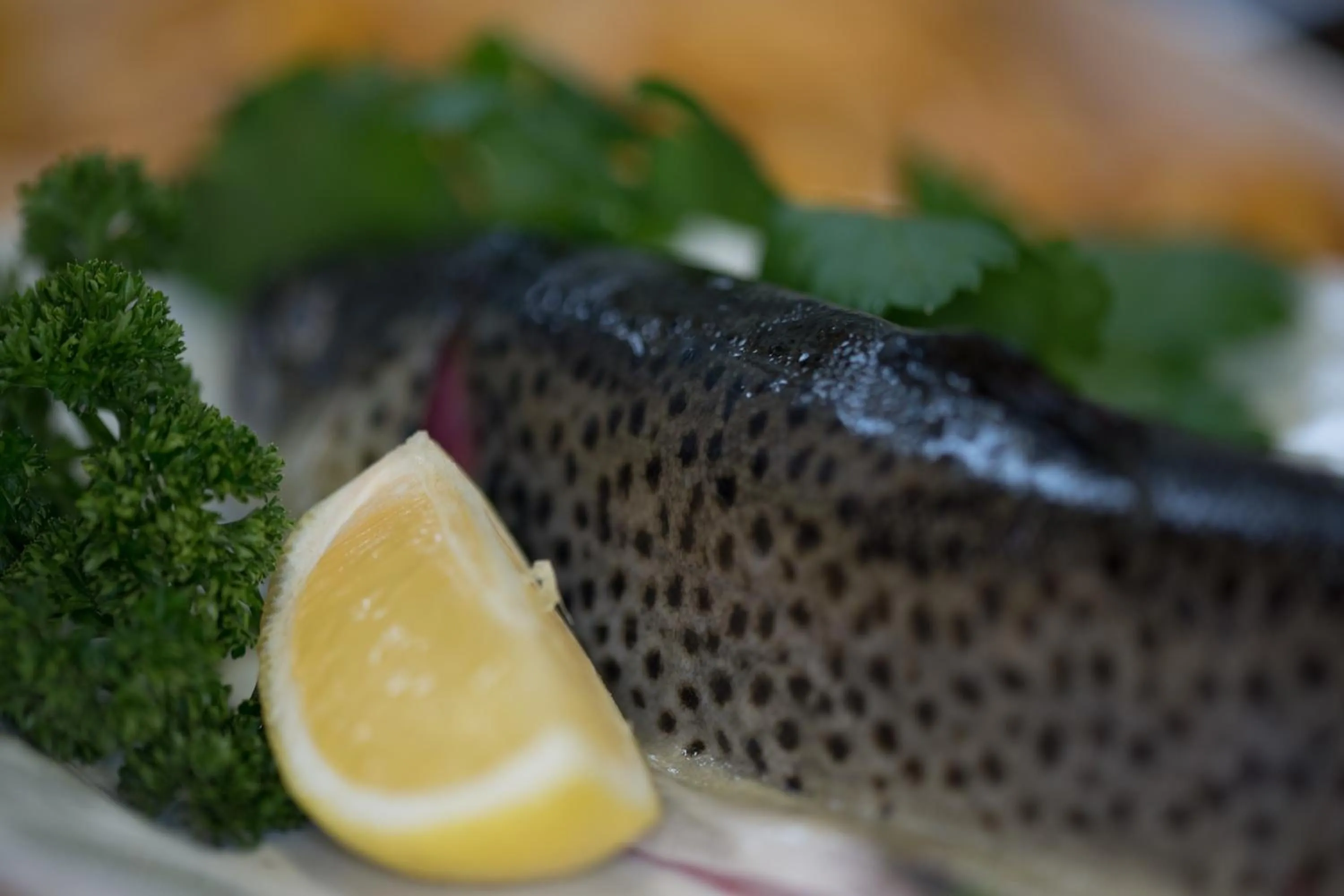 Food close-up in Hotel Restaurant Grünwalderhof