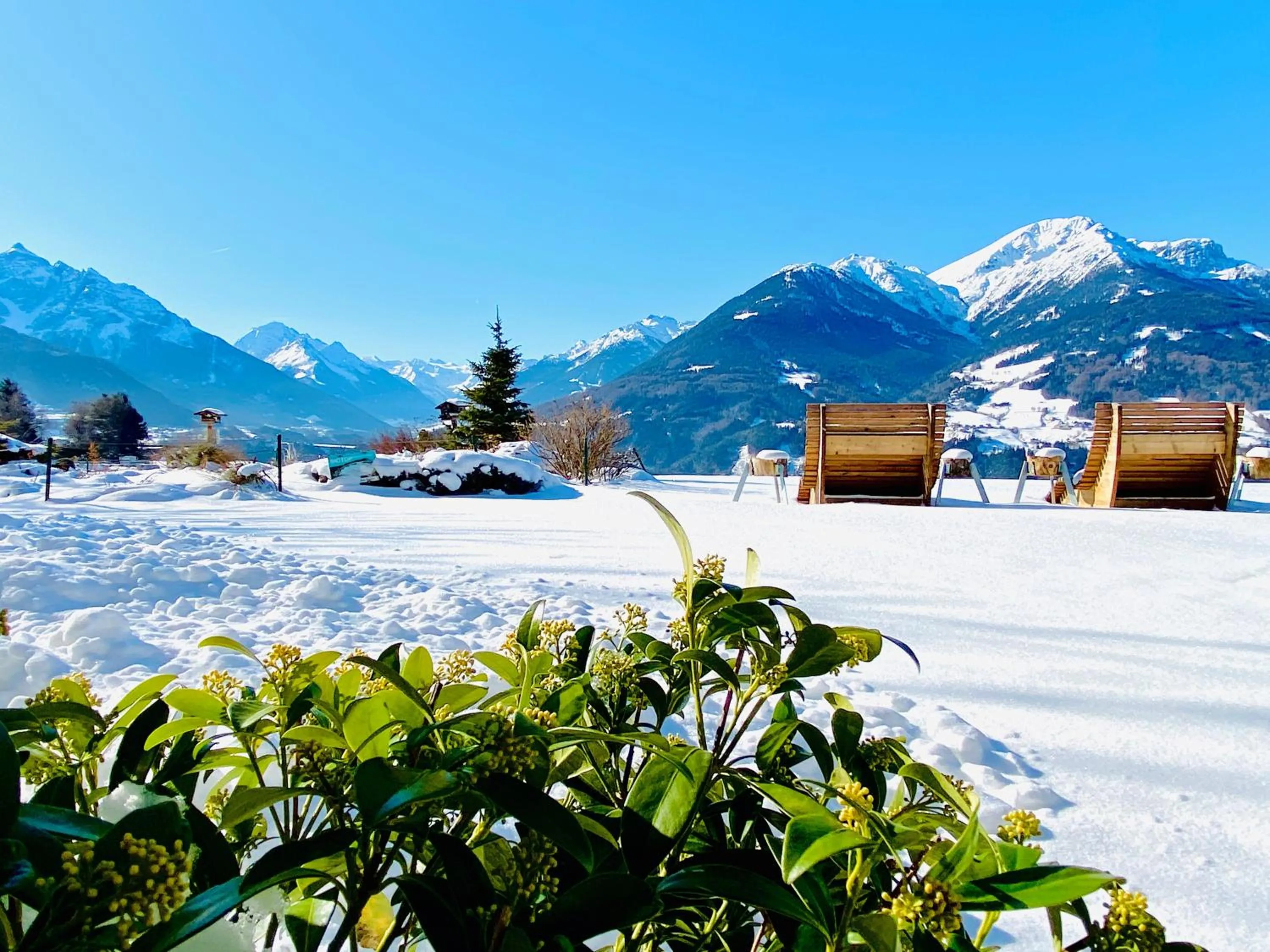 Natural landscape in Hotel Restaurant Grünwalderhof