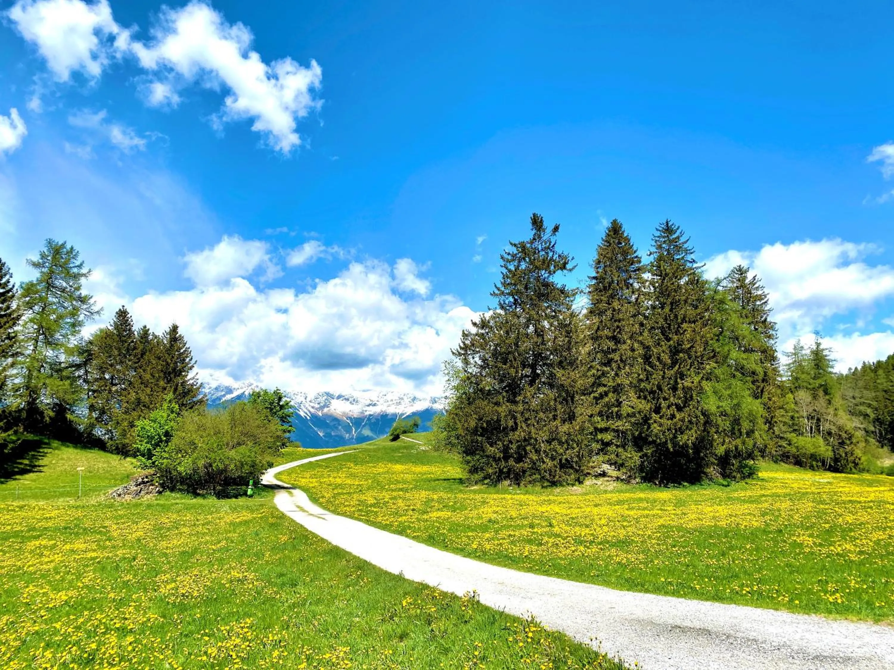 Spring in Hotel Restaurant Grünwalderhof