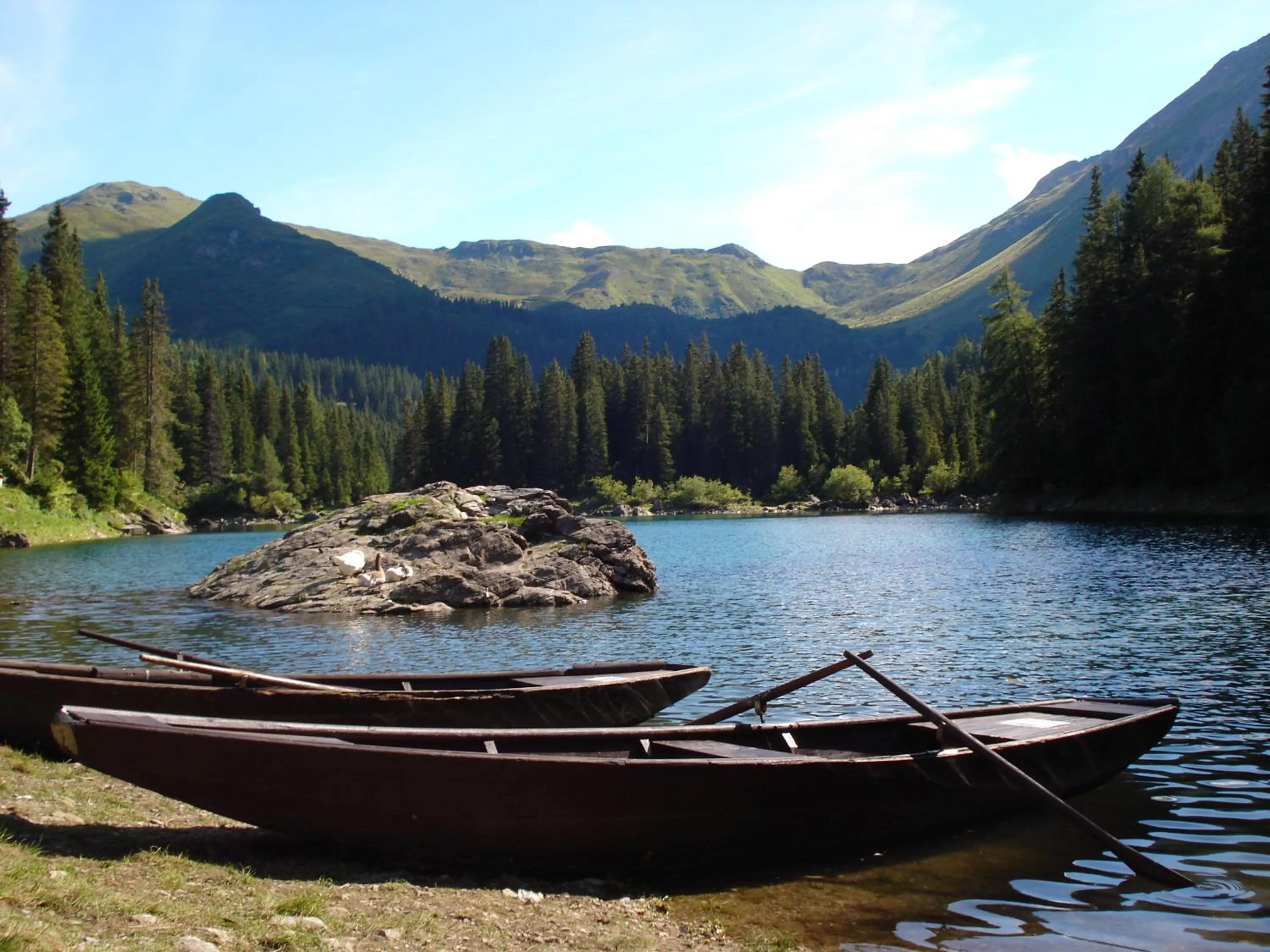 Area and facilities in Hotel Restaurant Grünwalderhof
