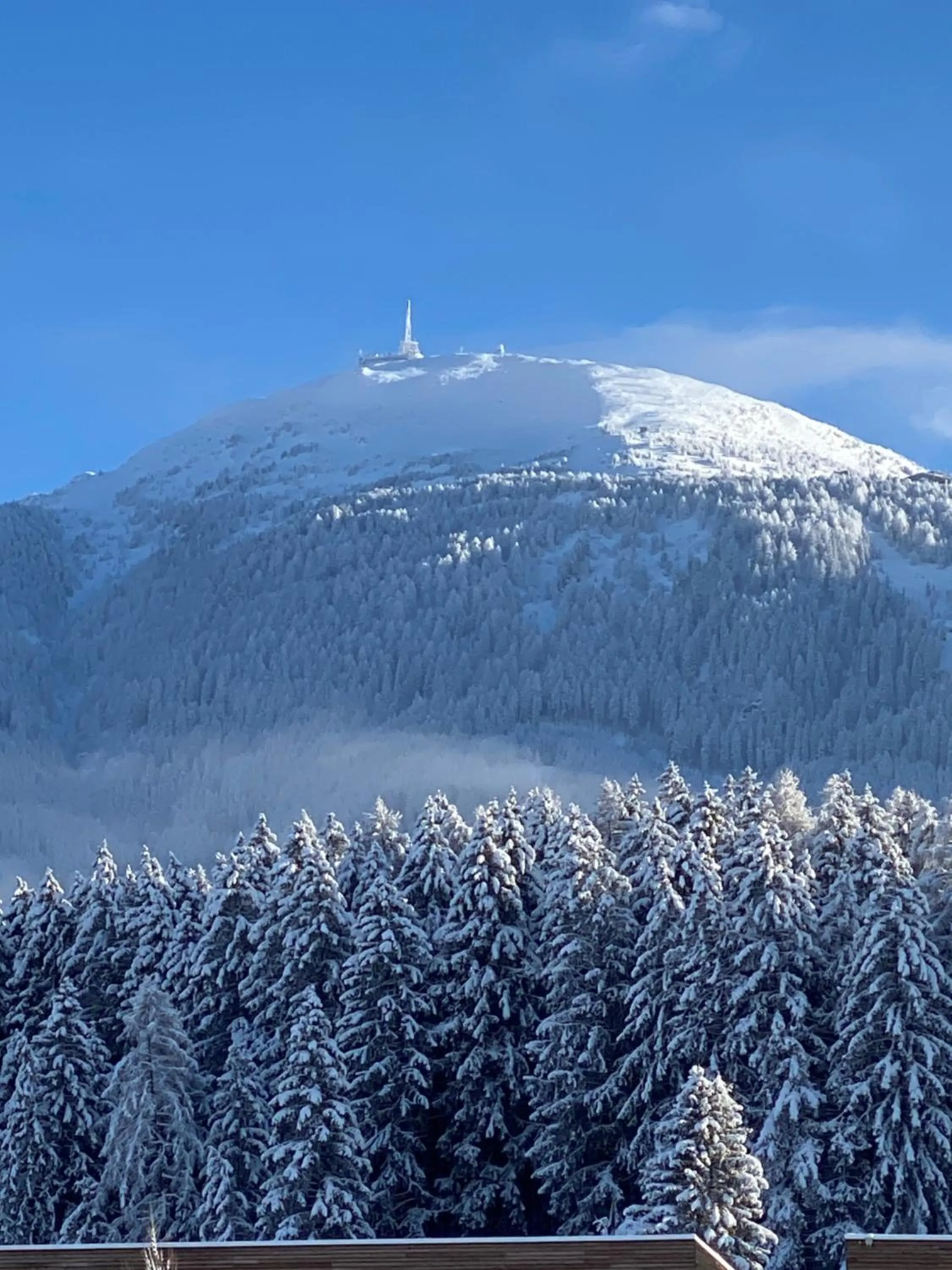 Staff in Hotel Restaurant Grünwalderhof