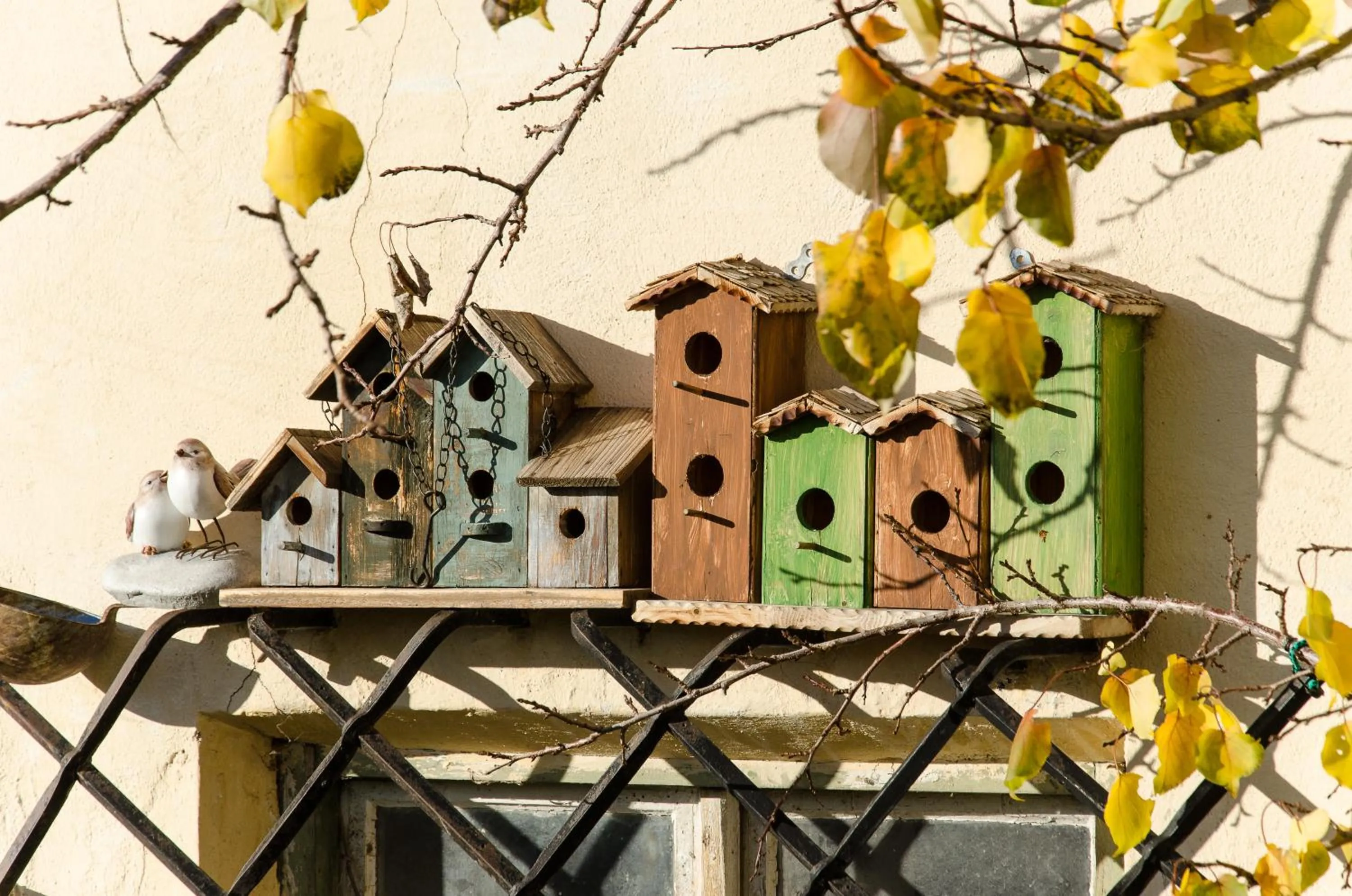 Balcony/Terrace in Hotel Restaurant Grünwalderhof