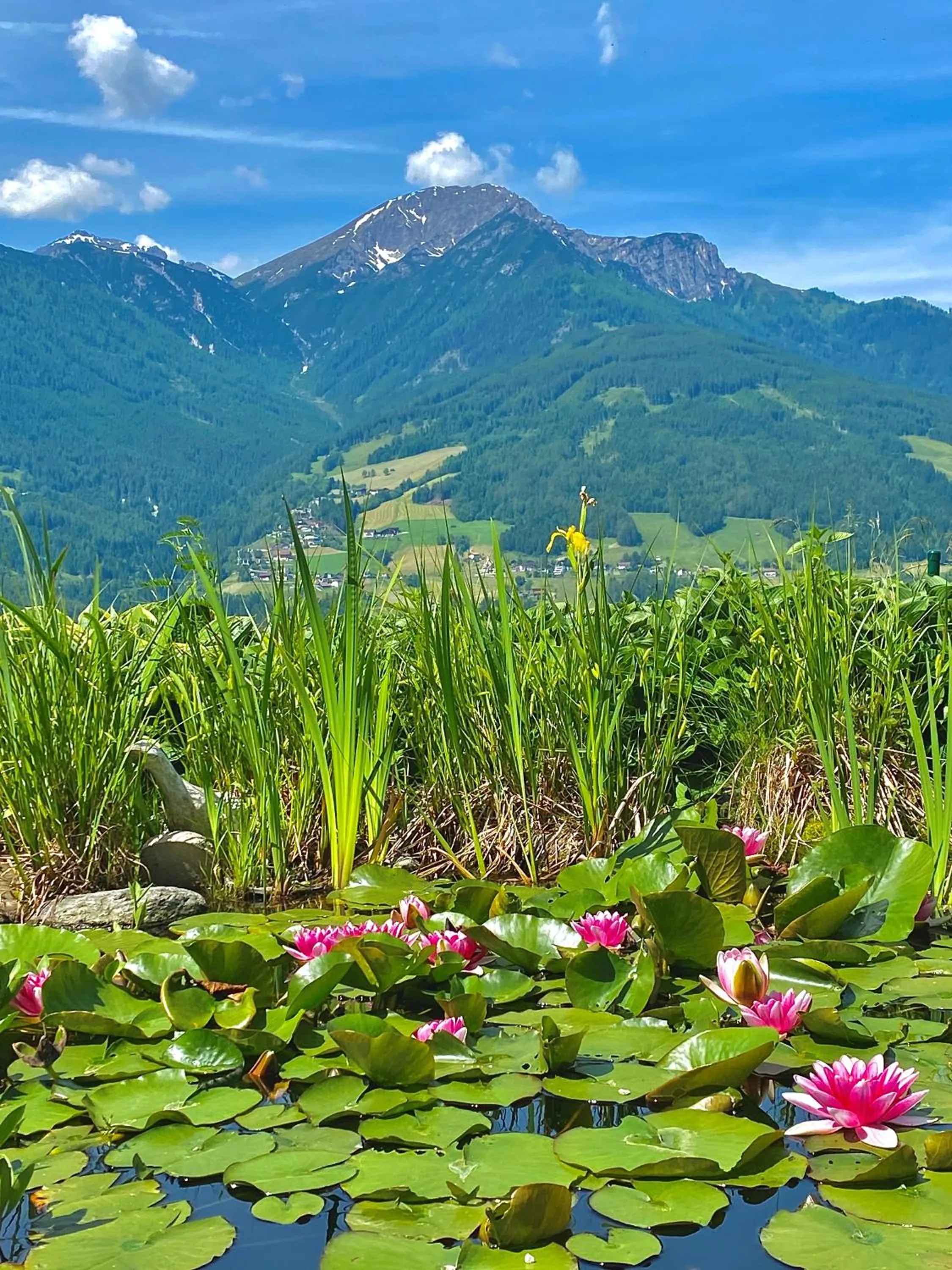 Garden in Hotel Restaurant Grünwalderhof