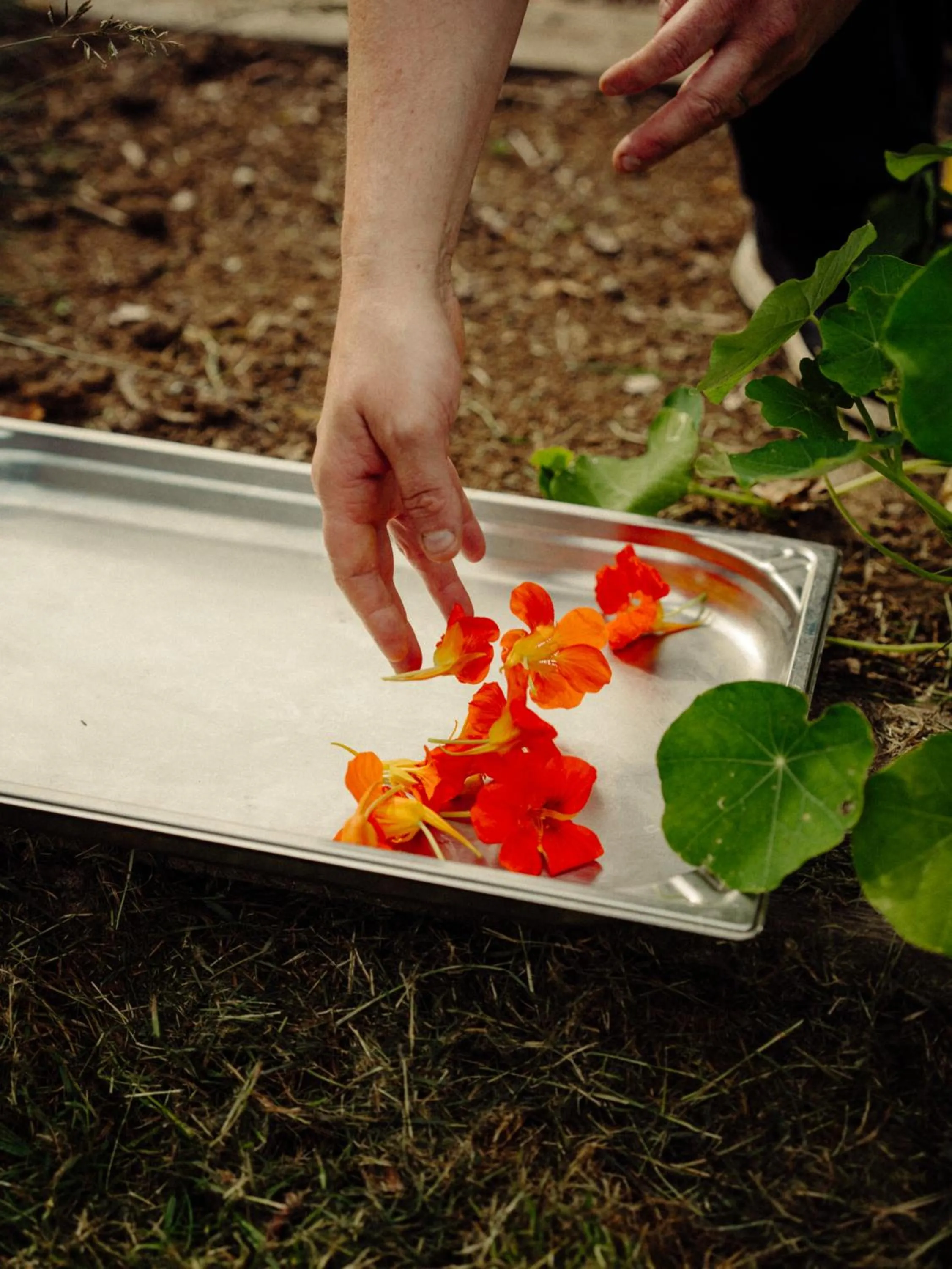 Food in Hôtel Restaurant Ar Milin-Logis hôtels