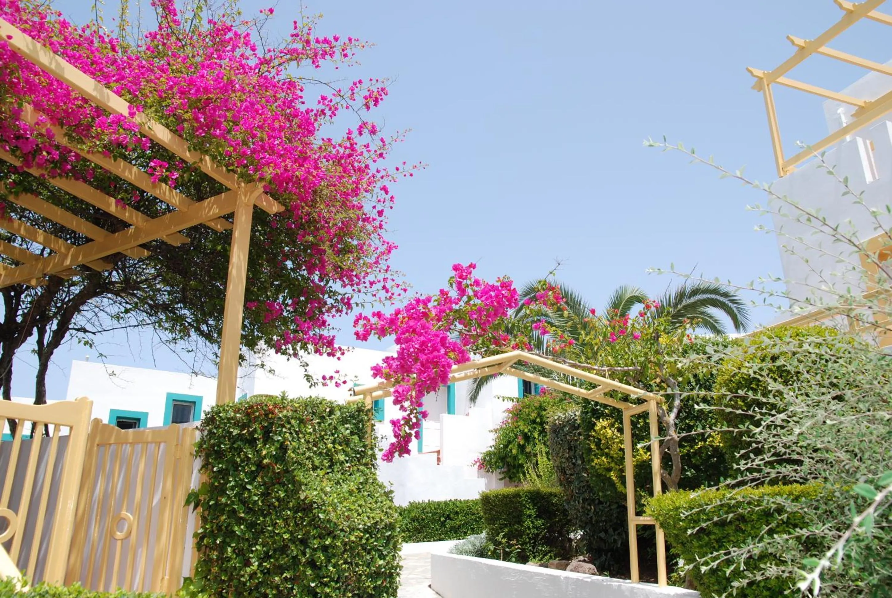 Facade/entrance in Mastichari Bay Hotel