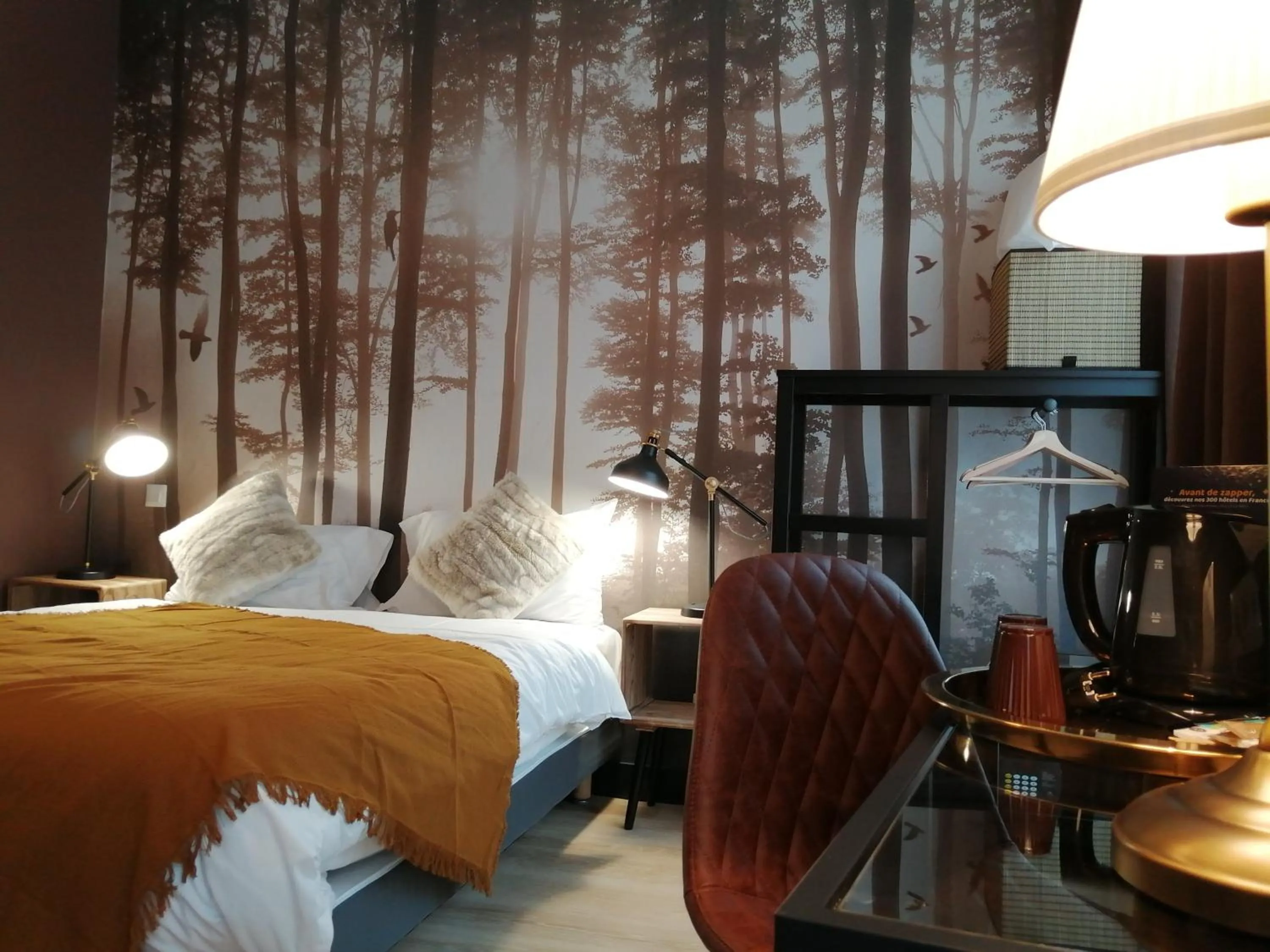 Photo of the whole room, Bed in Hotel Du Cygne Tours