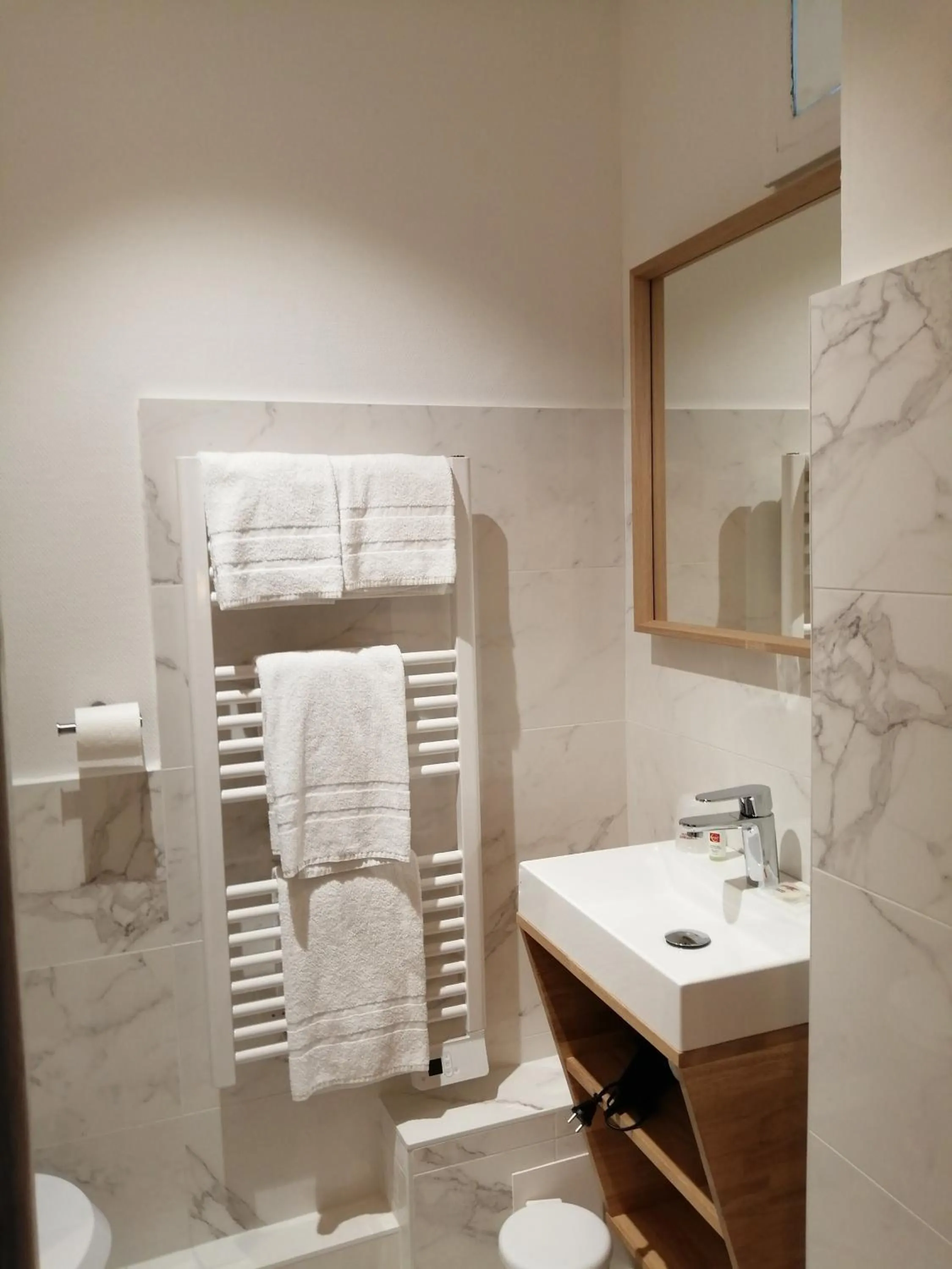 Bathroom in Hotel Du Cygne Tours