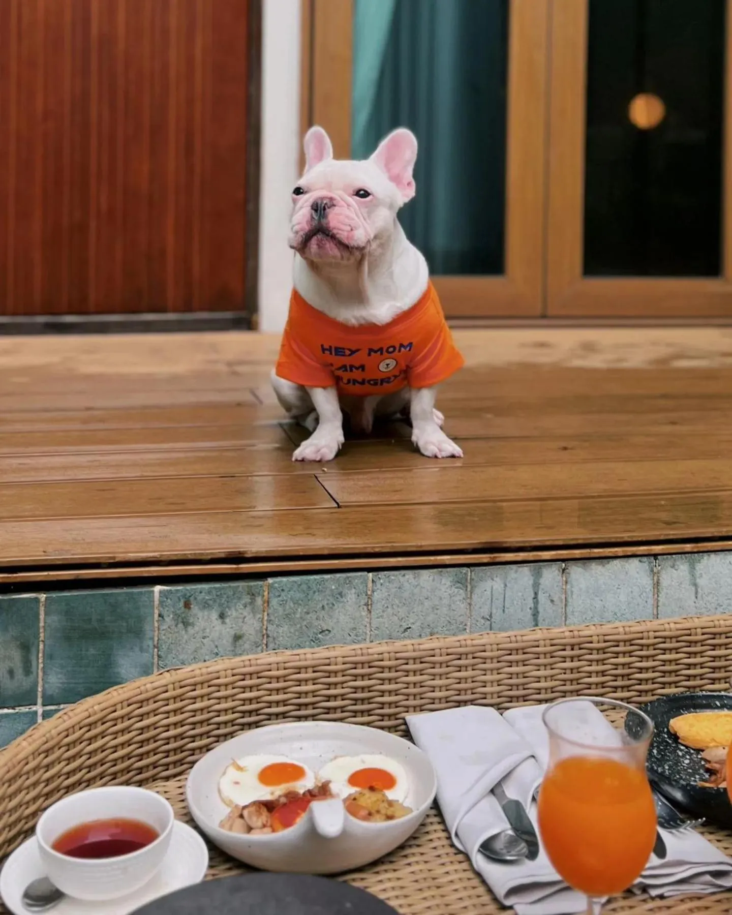 pet friendly in Itz Time Hua Hin Pool Villa