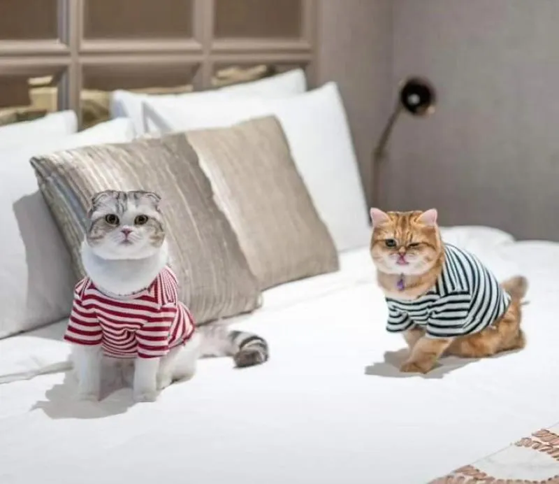 pet friendly in Itz Time Hua Hin Pool Villa