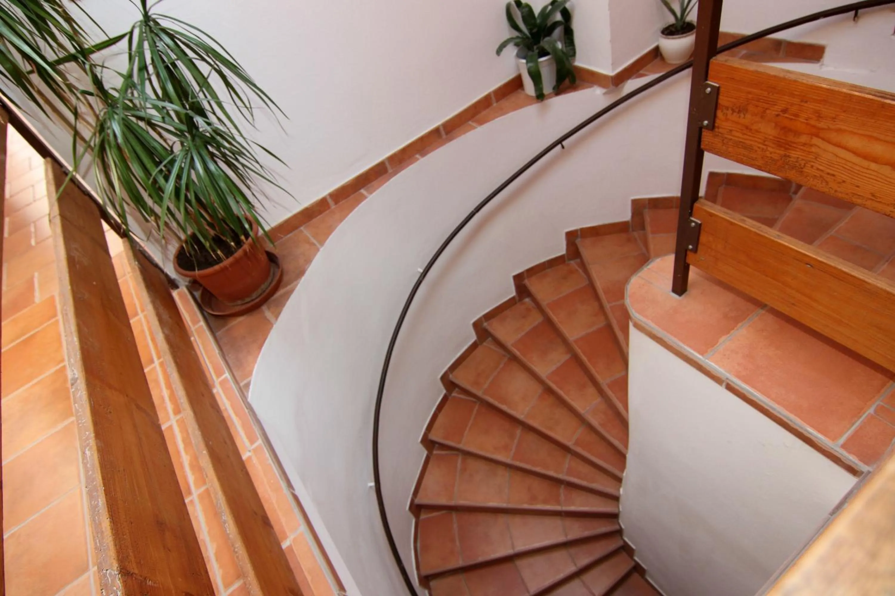 Area and facilities in Hotel Kreta