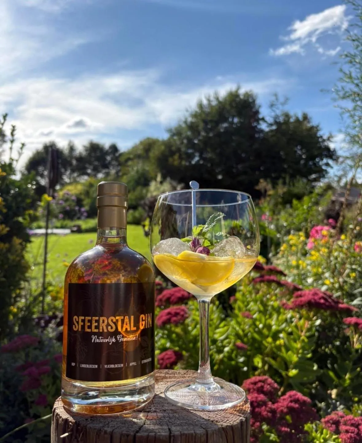 Garden in De Sfeerstal