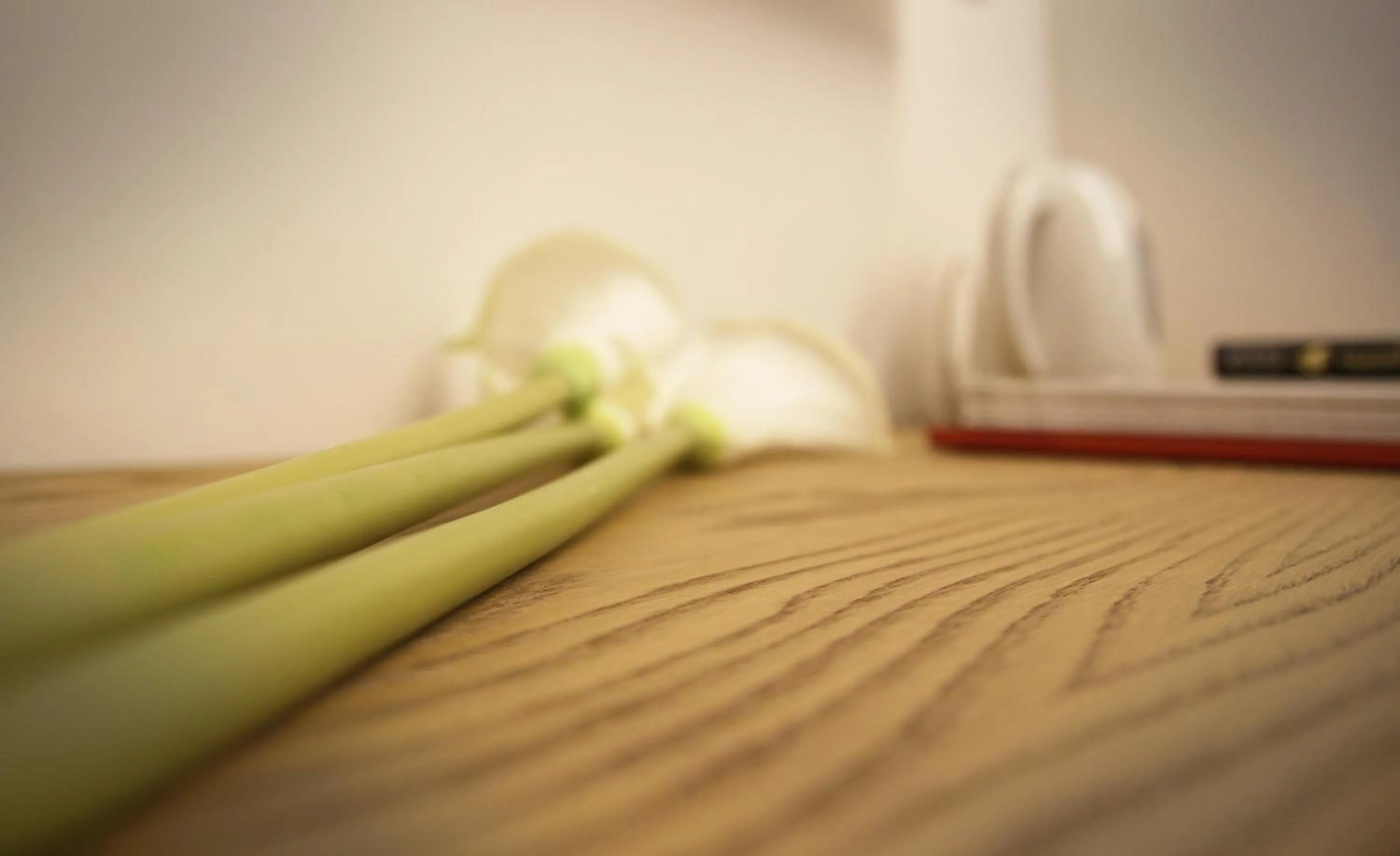 Affittacamere Bellavista