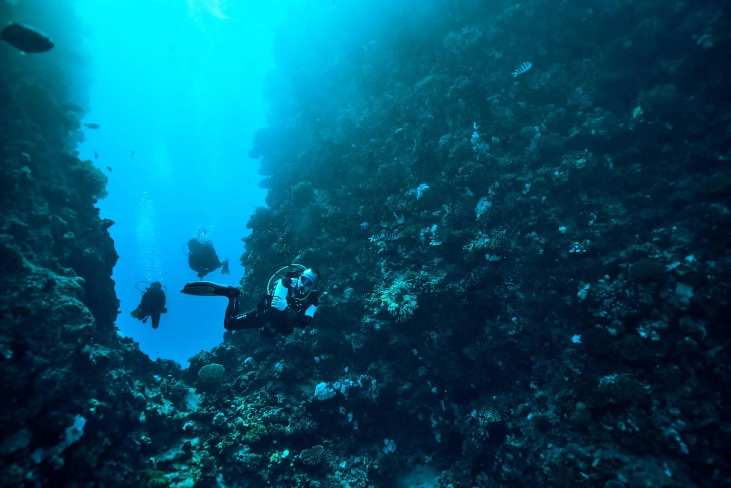 Diving in Robinson Soma Bay