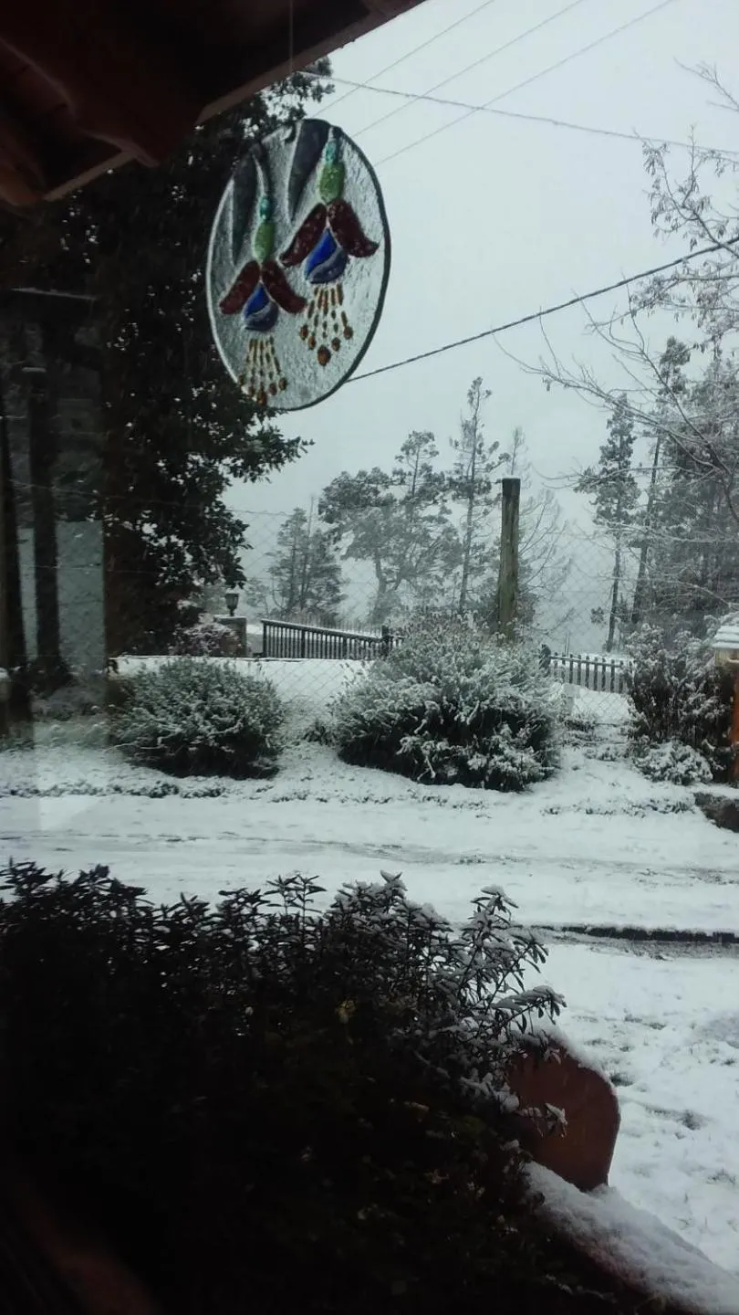 Garden view in HTL La Malinka