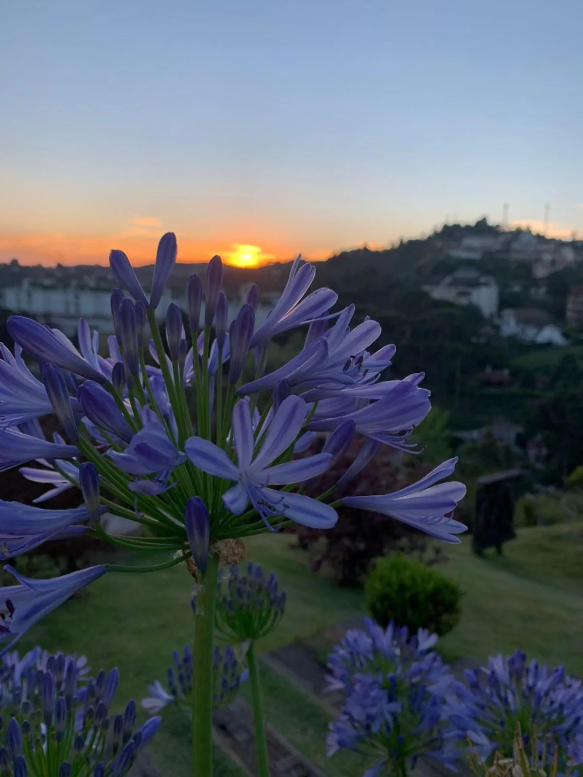 Casablanca Hotel Boutique