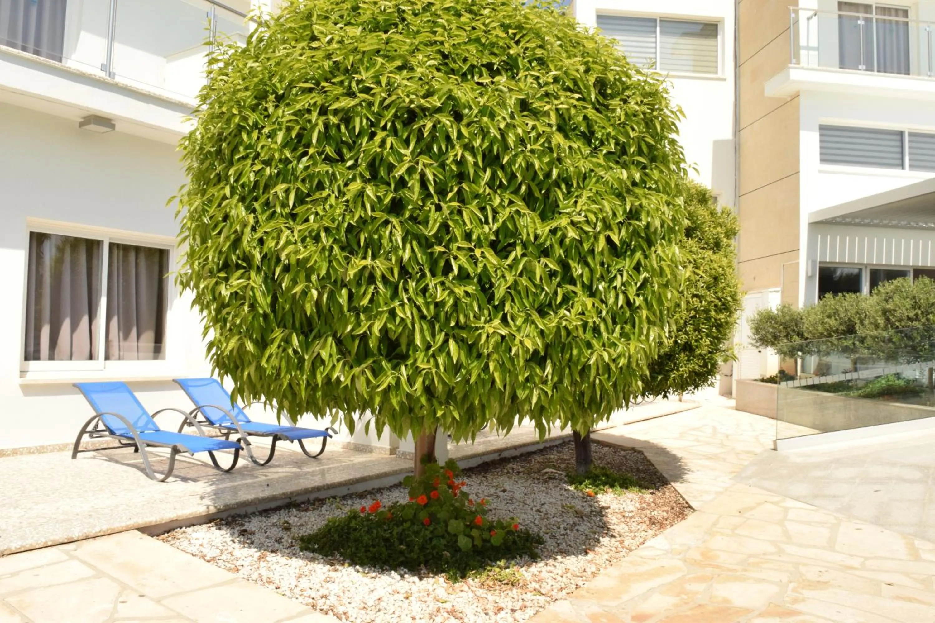 Garden in Fedrania Gardens Hotel