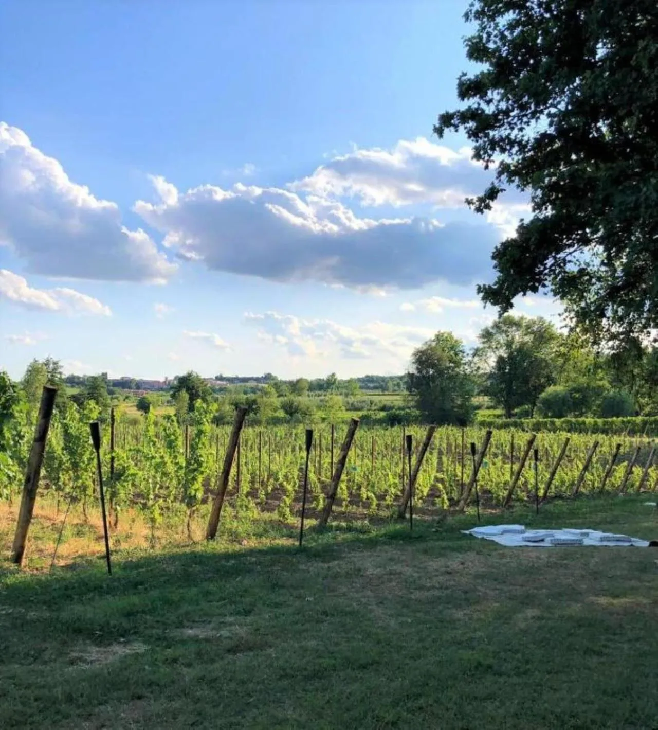 Natural landscape in Dolce Lago B&B