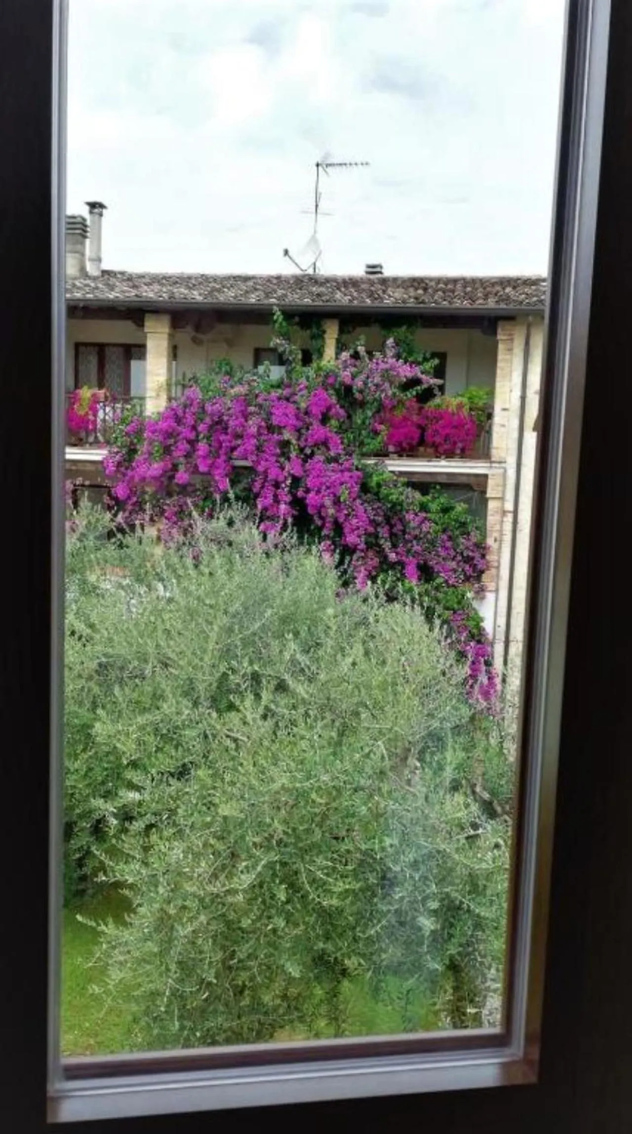 View (from property/room) in Dolce Lago B&B