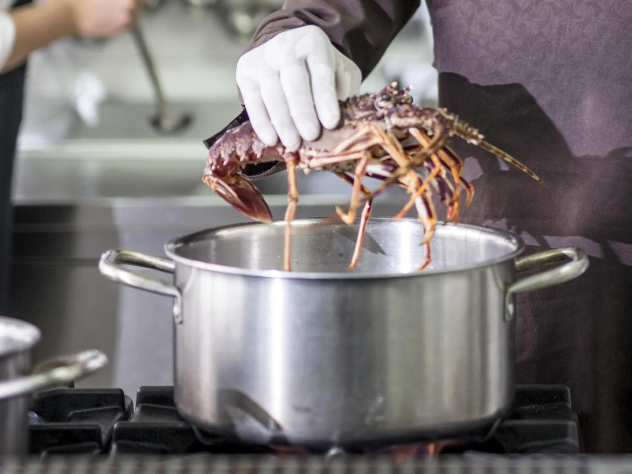 Food close-up in Hotel La Bussola