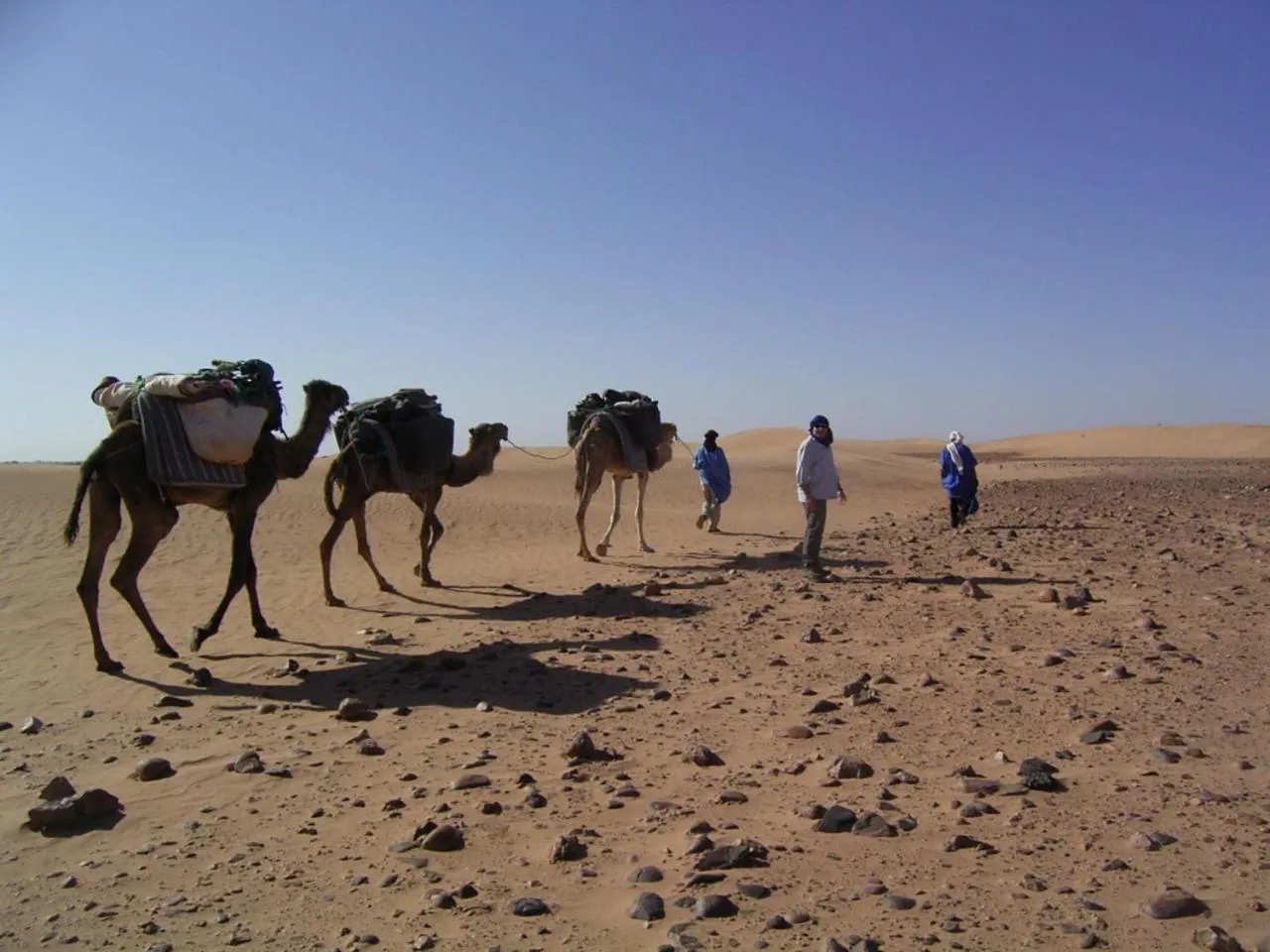 Hiking in Fibule Du Draa Kasbah D'hôtes