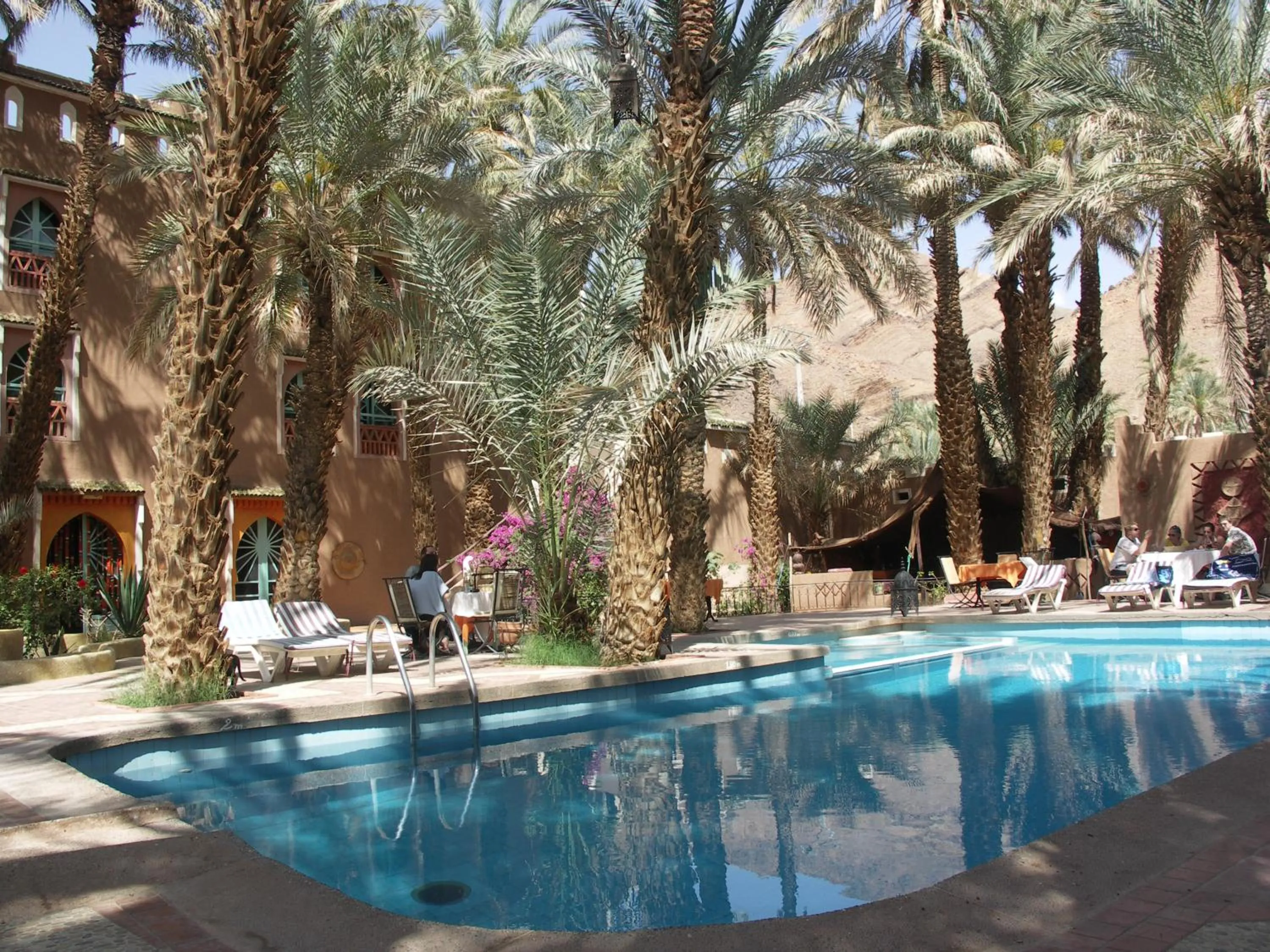Swimming pool in Fibule Du Draa Kasbah D'hôtes