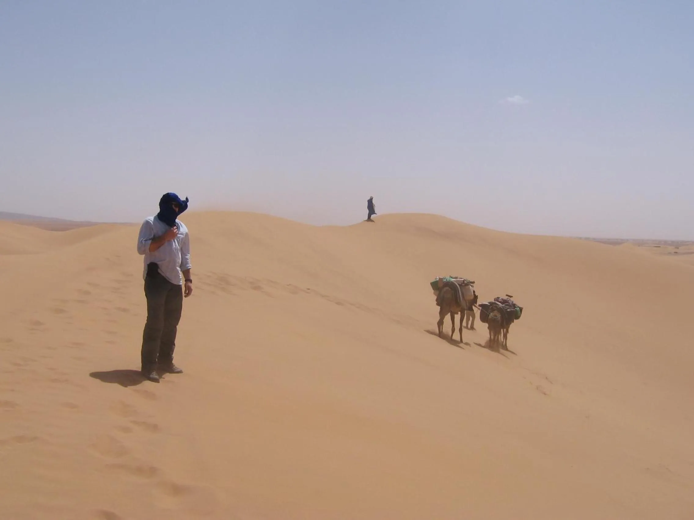 Hiking in Fibule Du Draa Kasbah D'hôtes
