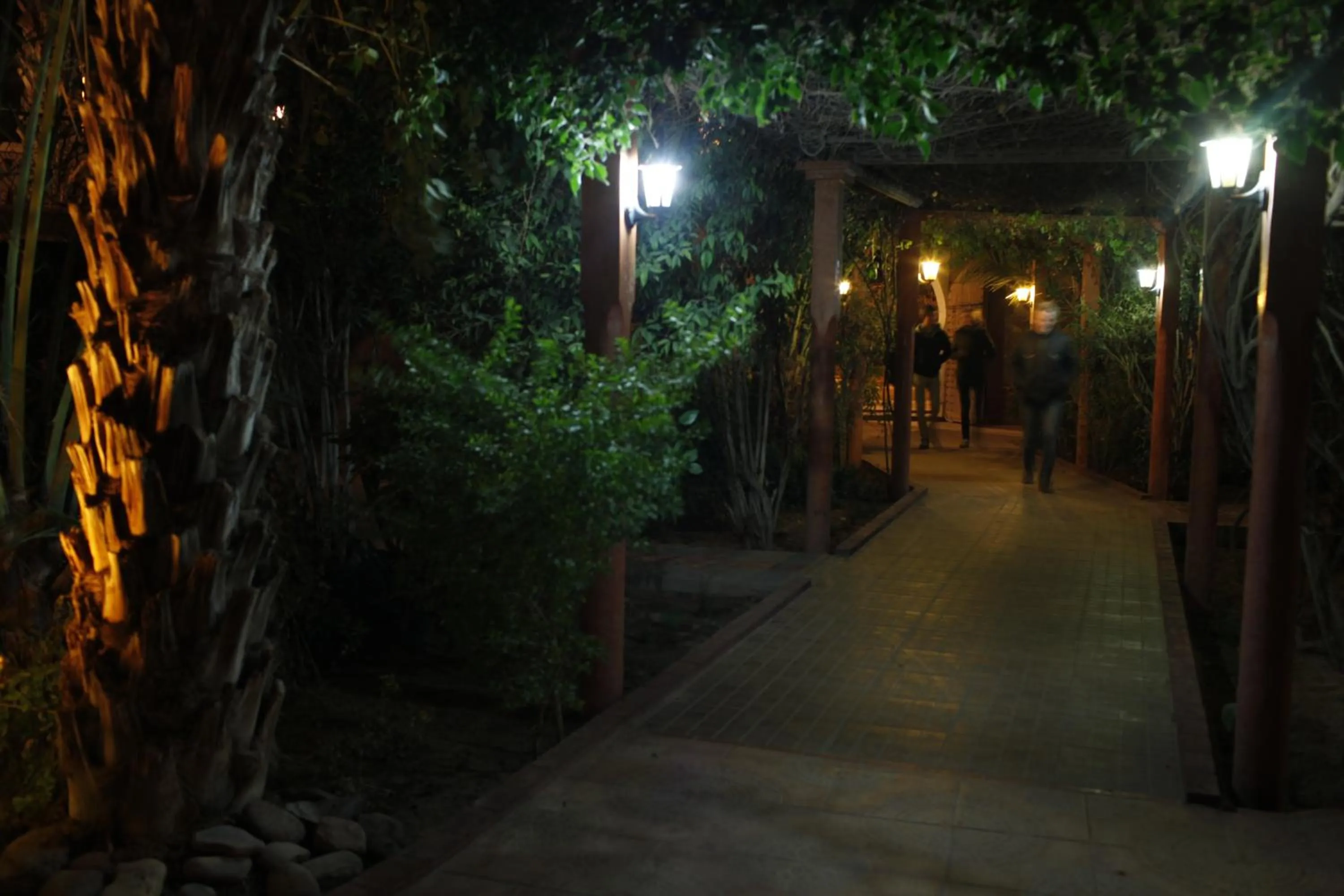 Fibule Du Draa Kasbah D'hôtes