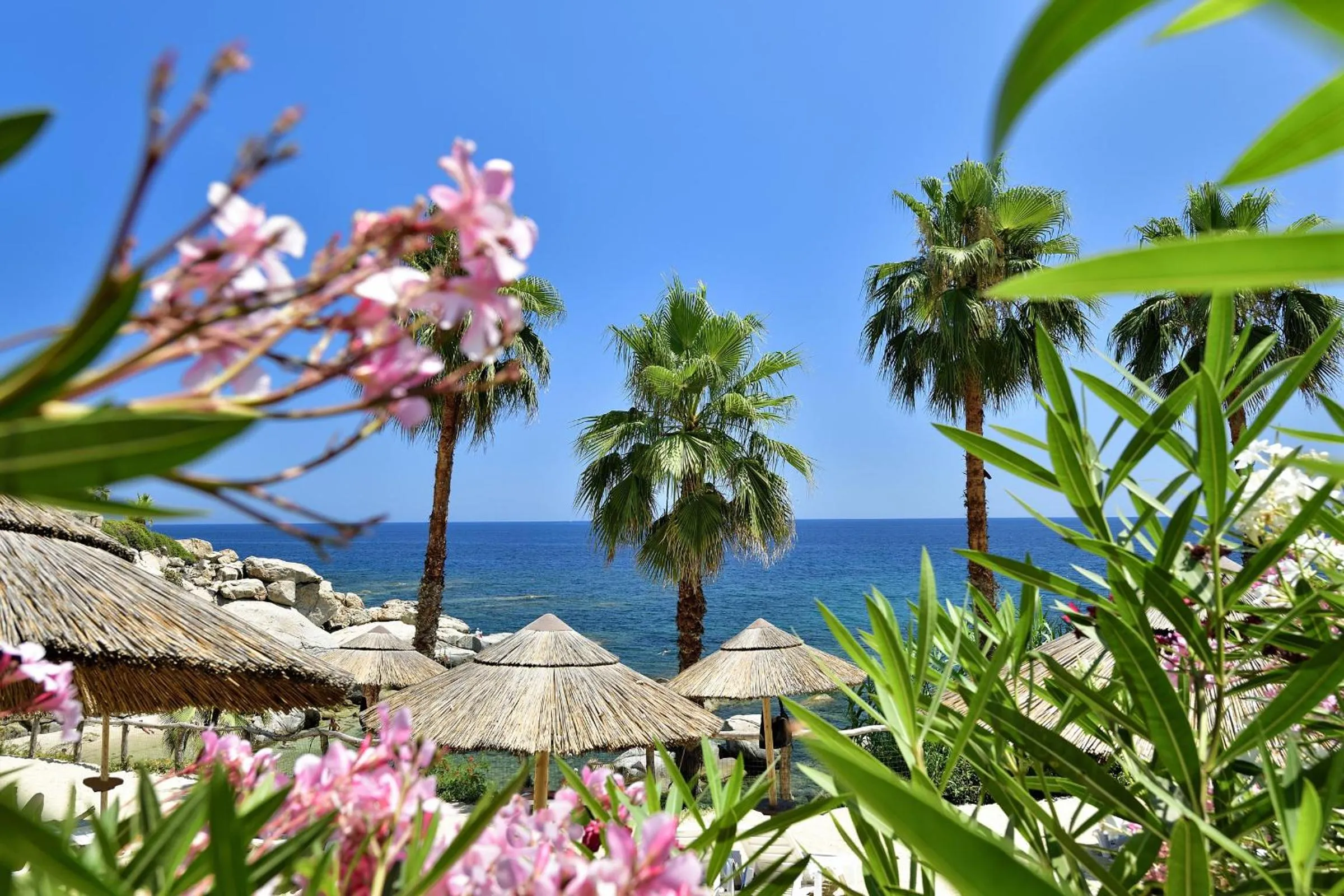 Beach in Arbatax Park Resort - Dune