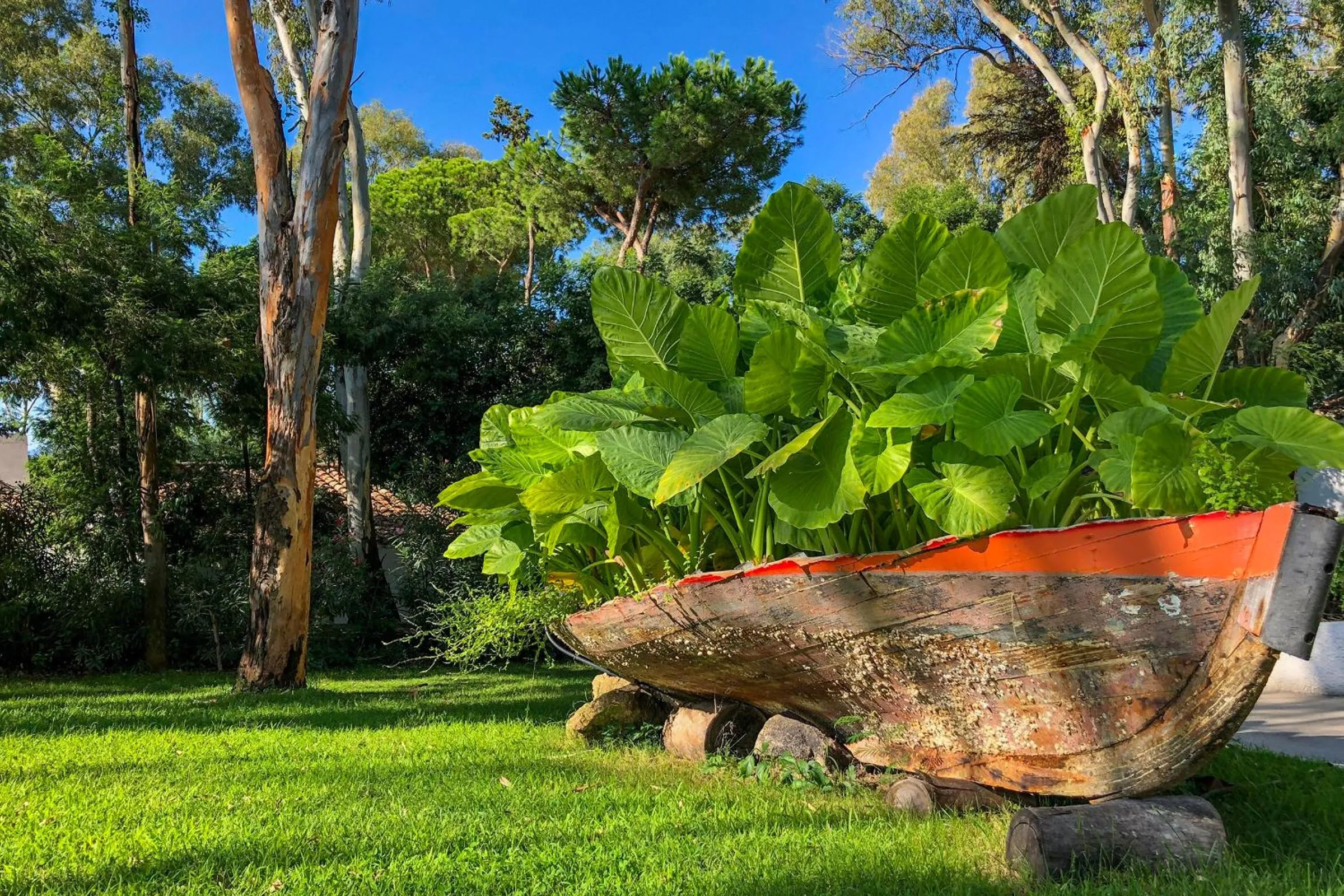 Garden in Arbatax Park Resort - Cottage