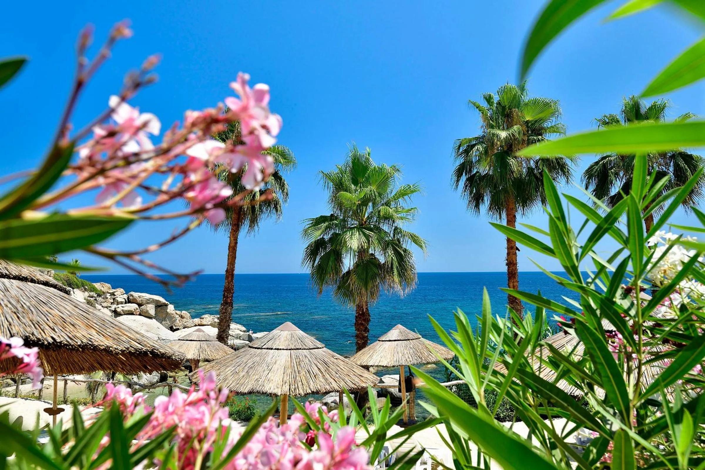 Beach in Arbatax Park Resort - Telis