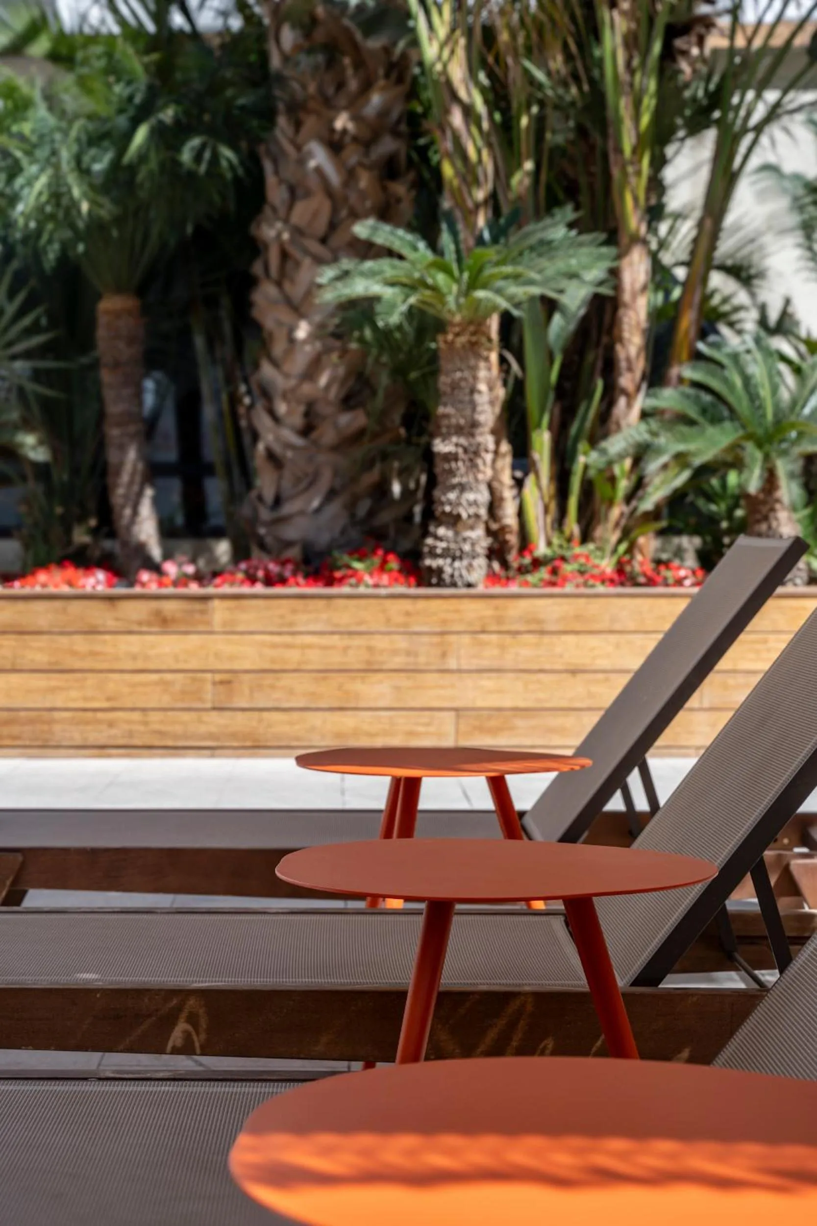 Pool view in Neve Eilat Hotel By Atlas Hotels