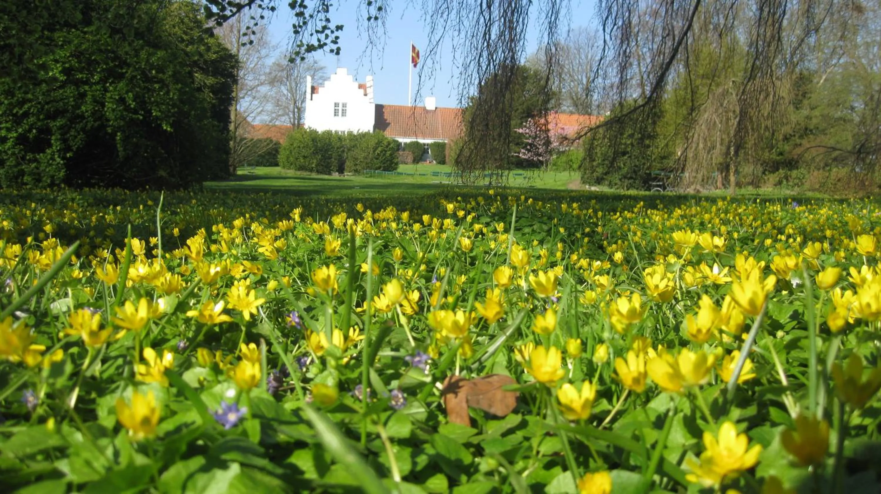 On site in Ängavallen