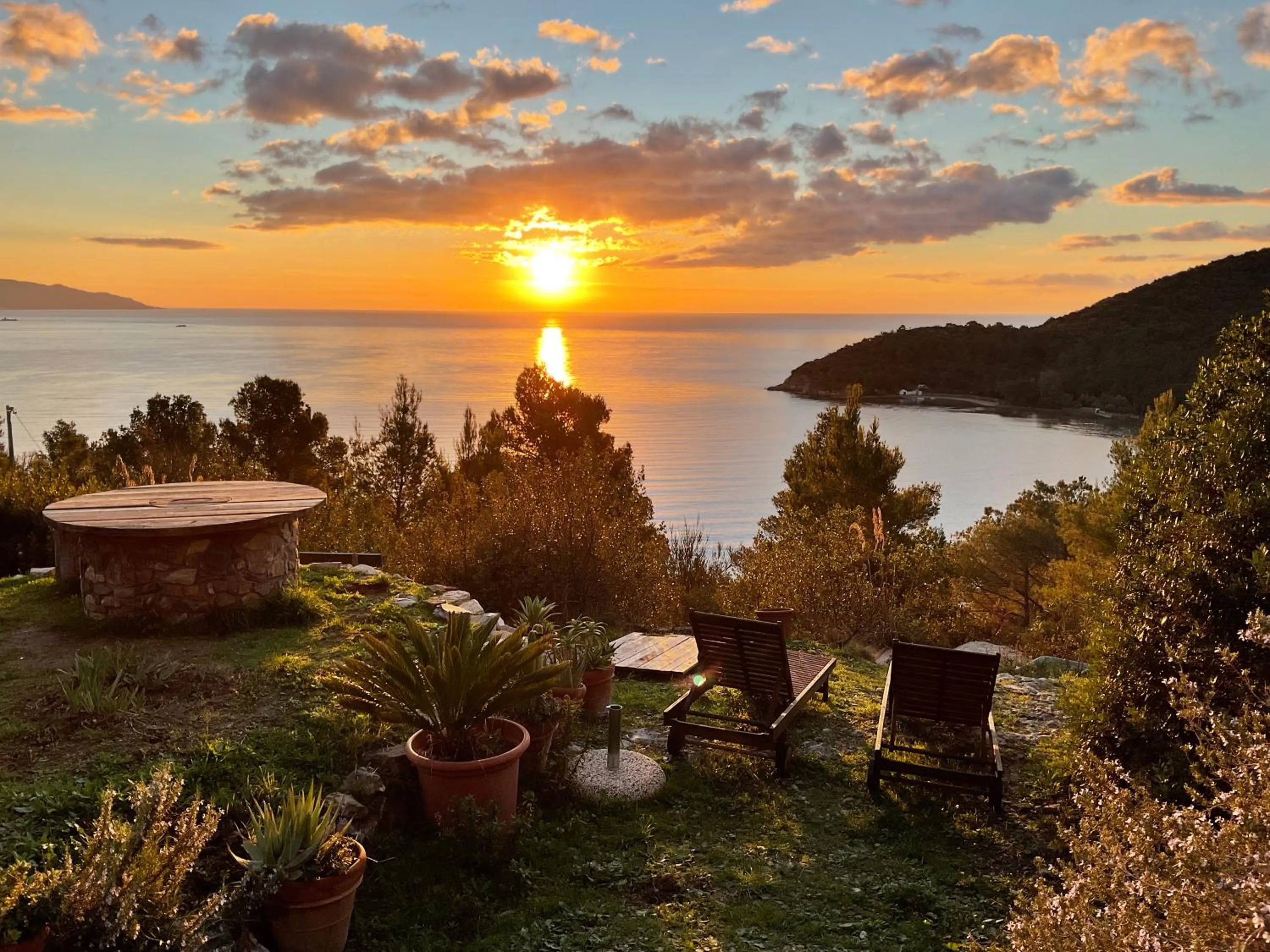 Garden in La Collina sul Mare