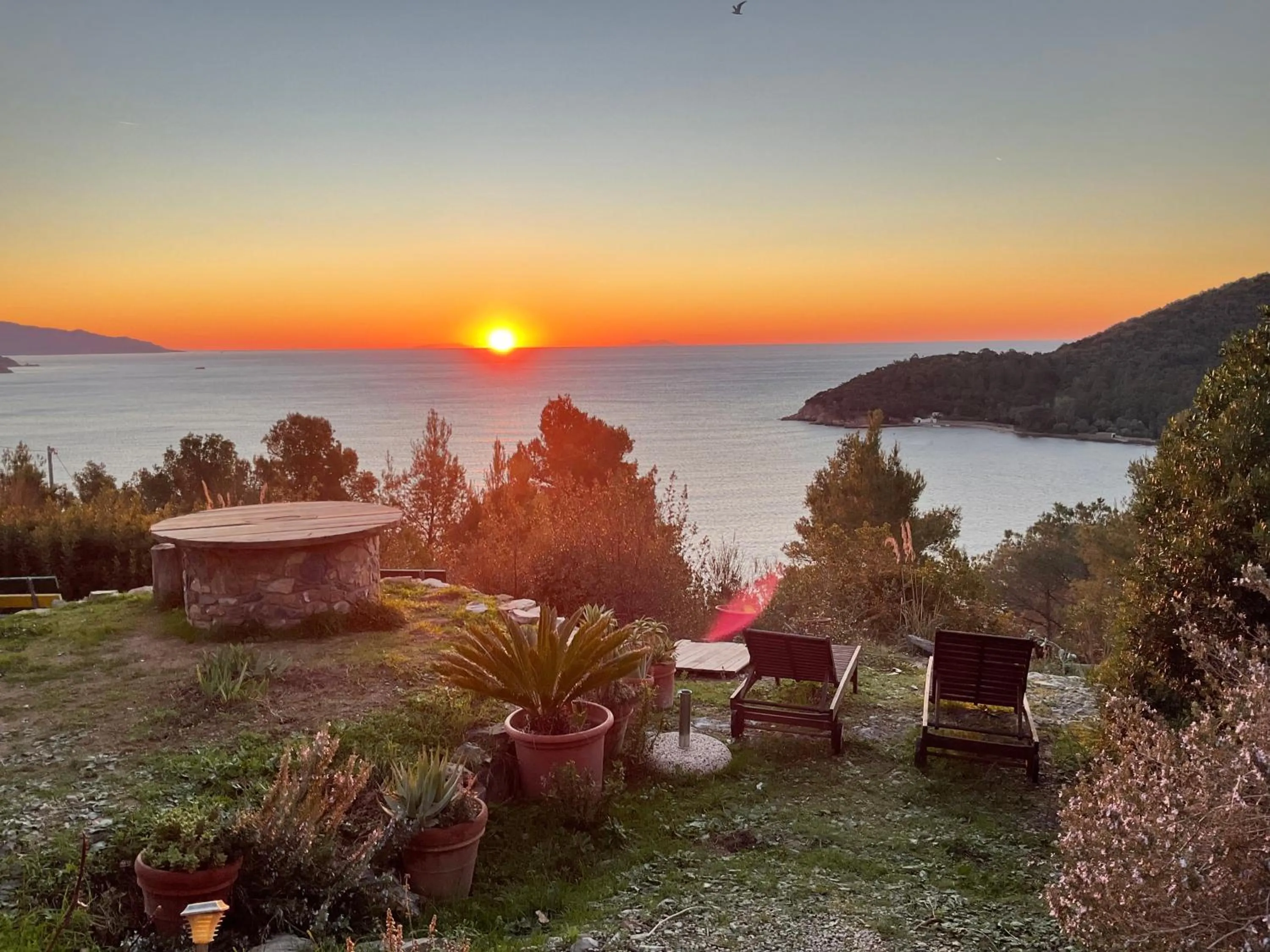 Garden in La Collina sul Mare